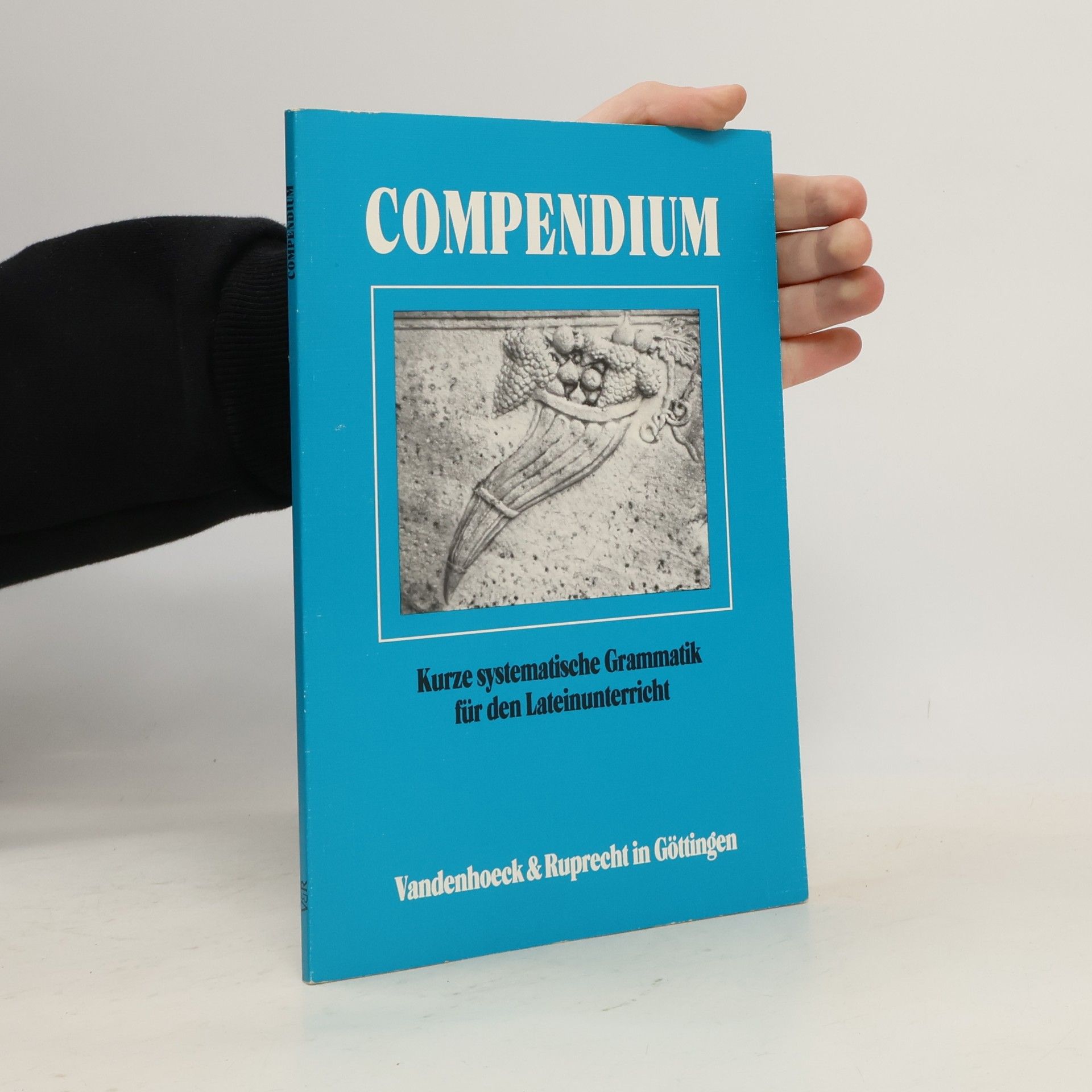 Kolektív autorov Compendium