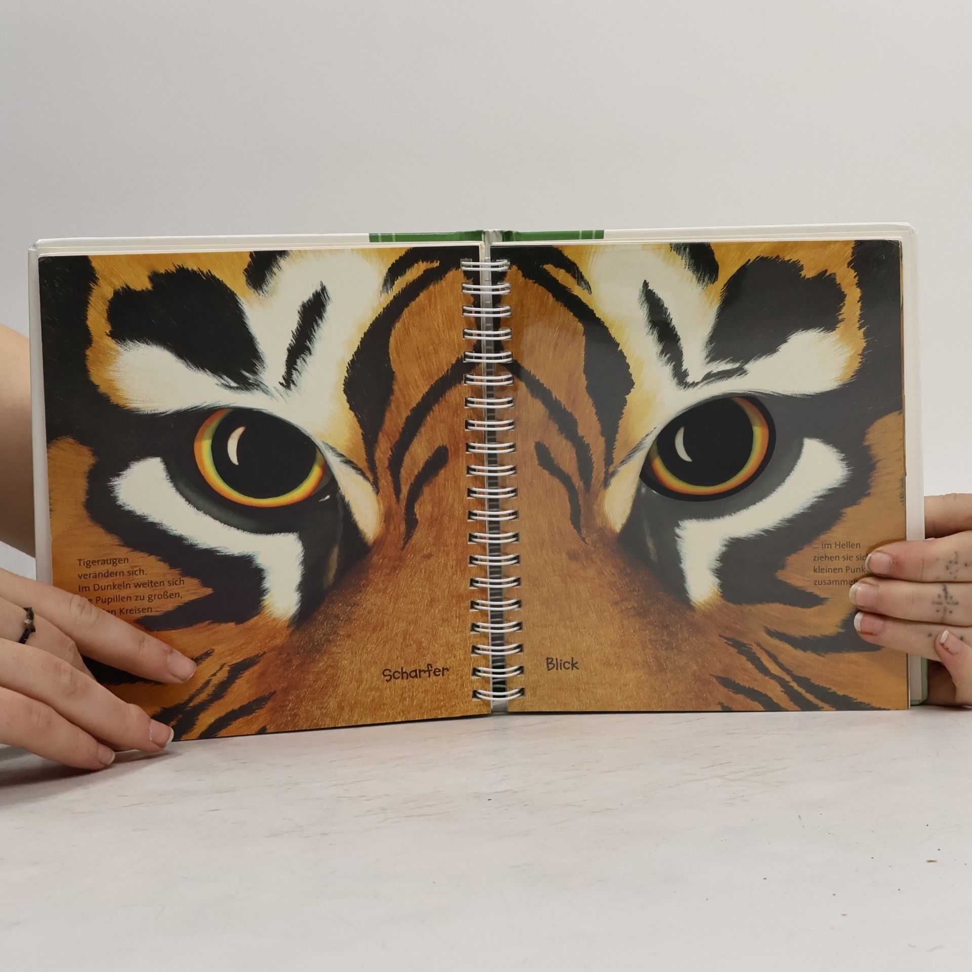 Sylvaine Peyrols Der Tiger