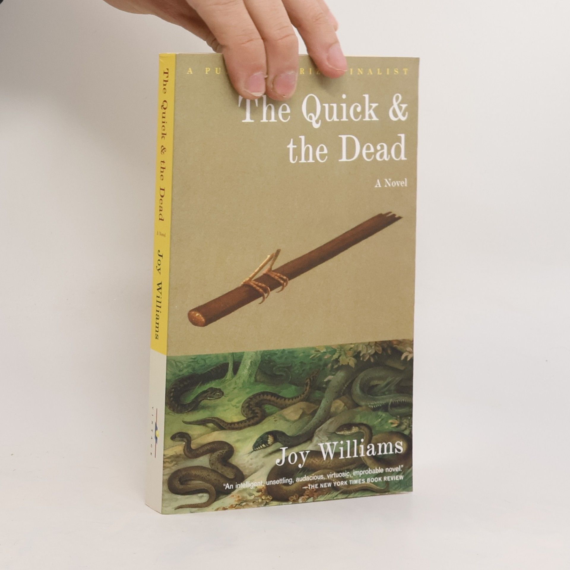 Joy Williams The Quick and the Dead