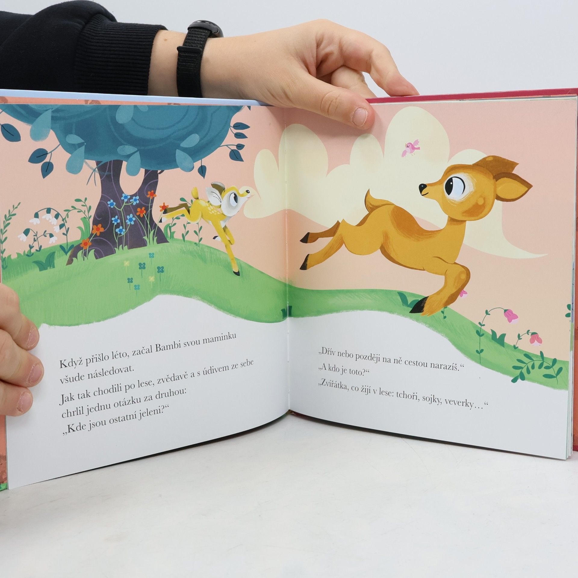 Kolektiv autorů Bambi
