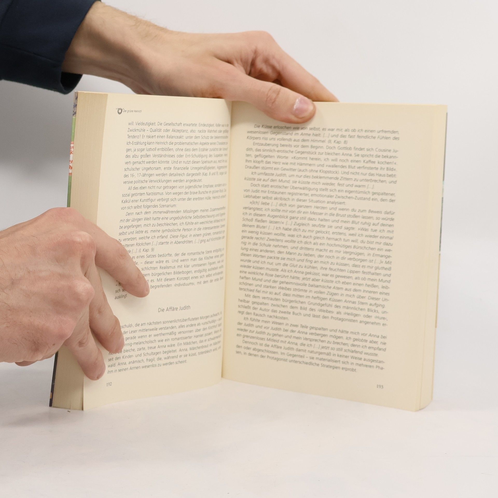 Jürgen Wertheimer Don Quijotes Erben