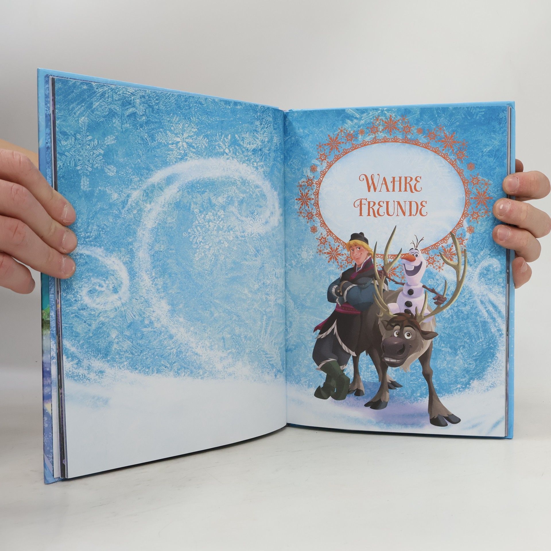 Autorenkollektiv Die Eiskönigin. Völlig unverfroren