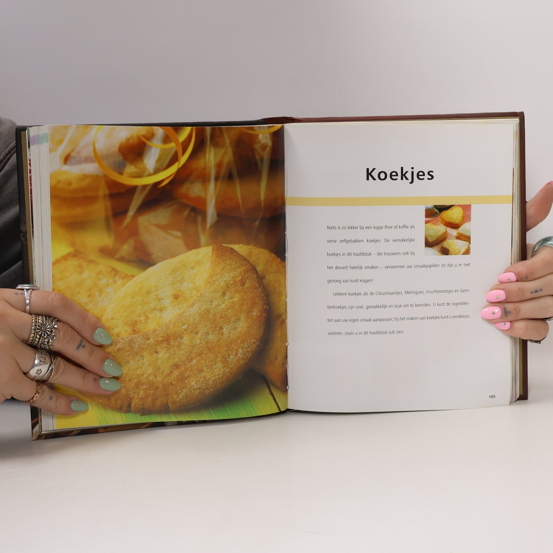 Jolanda te Lindert Ovenvers