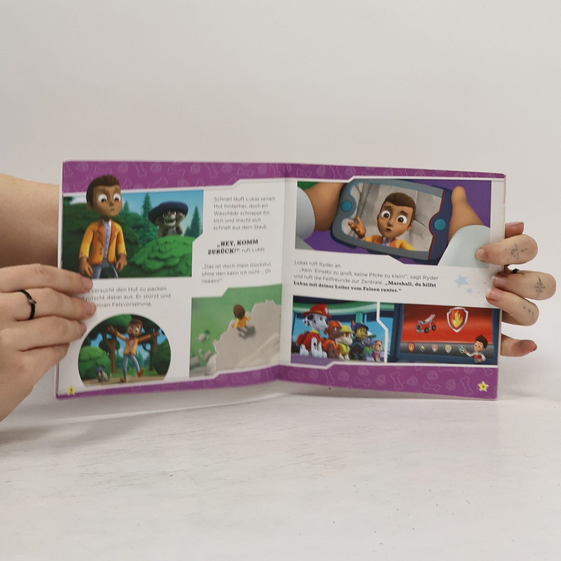 PAW Patrol: Lukas Stern in Not
