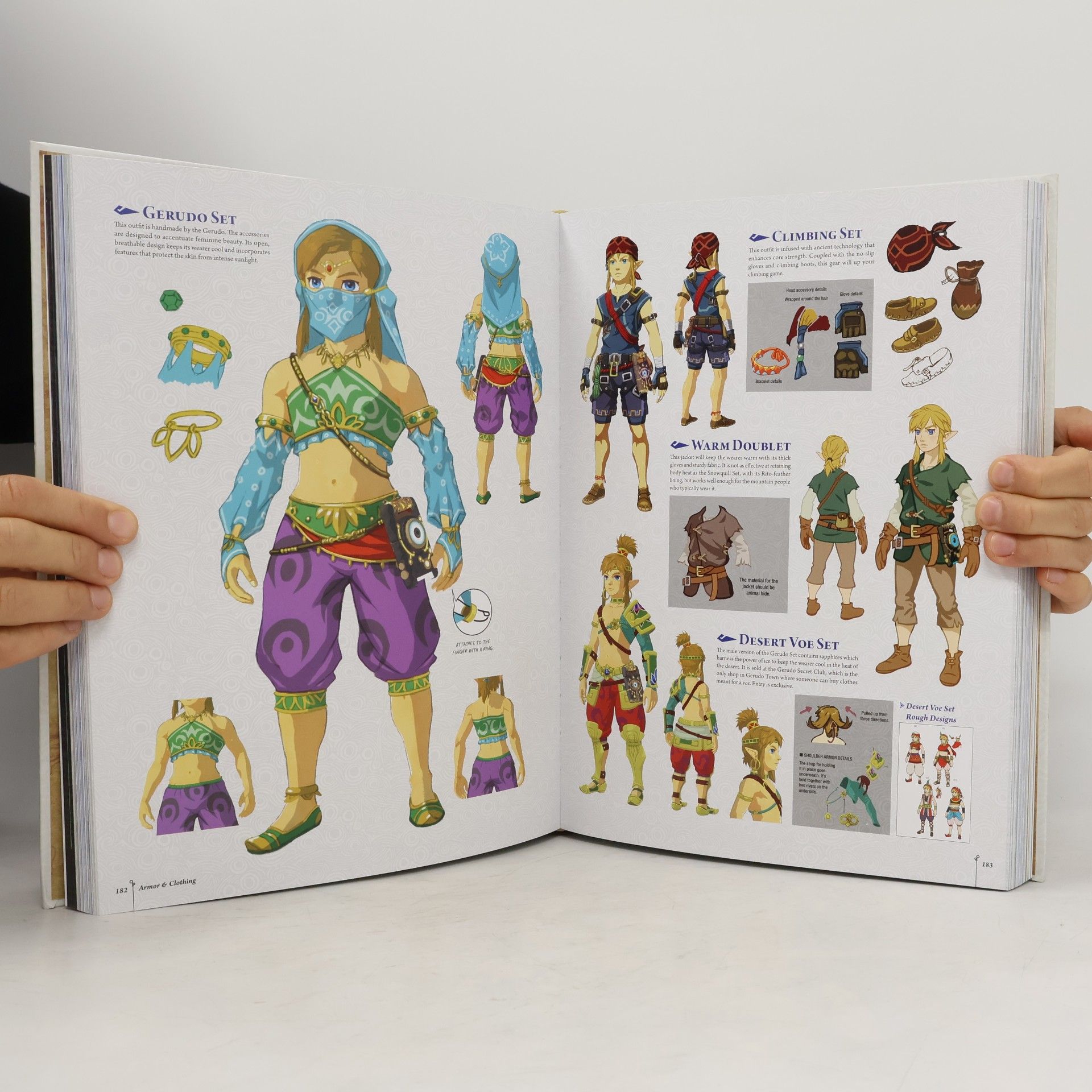 Nintendo Legend Of Zelda, The: Breath Of The Wild - Creating A Champion