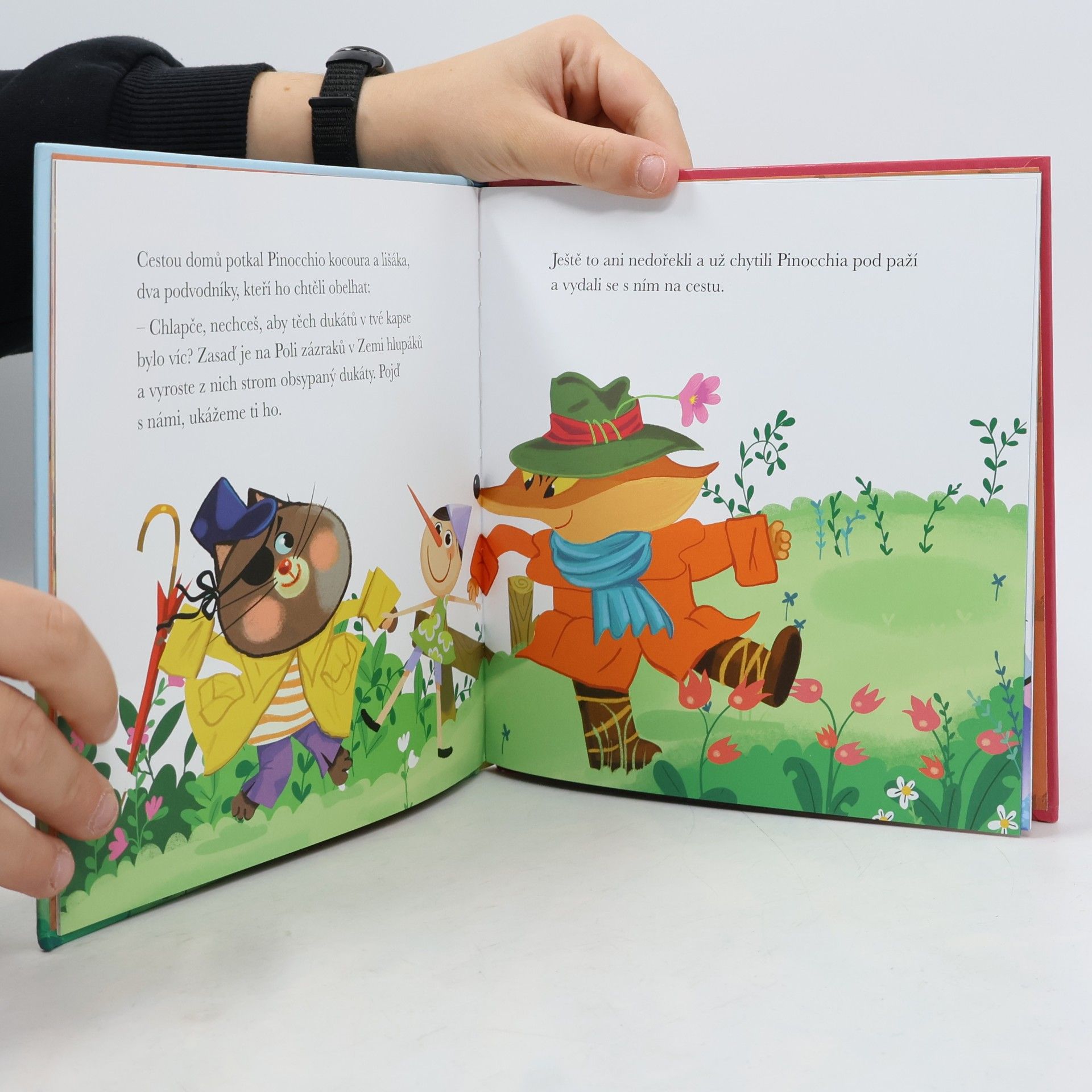 Various authors Pinocchio