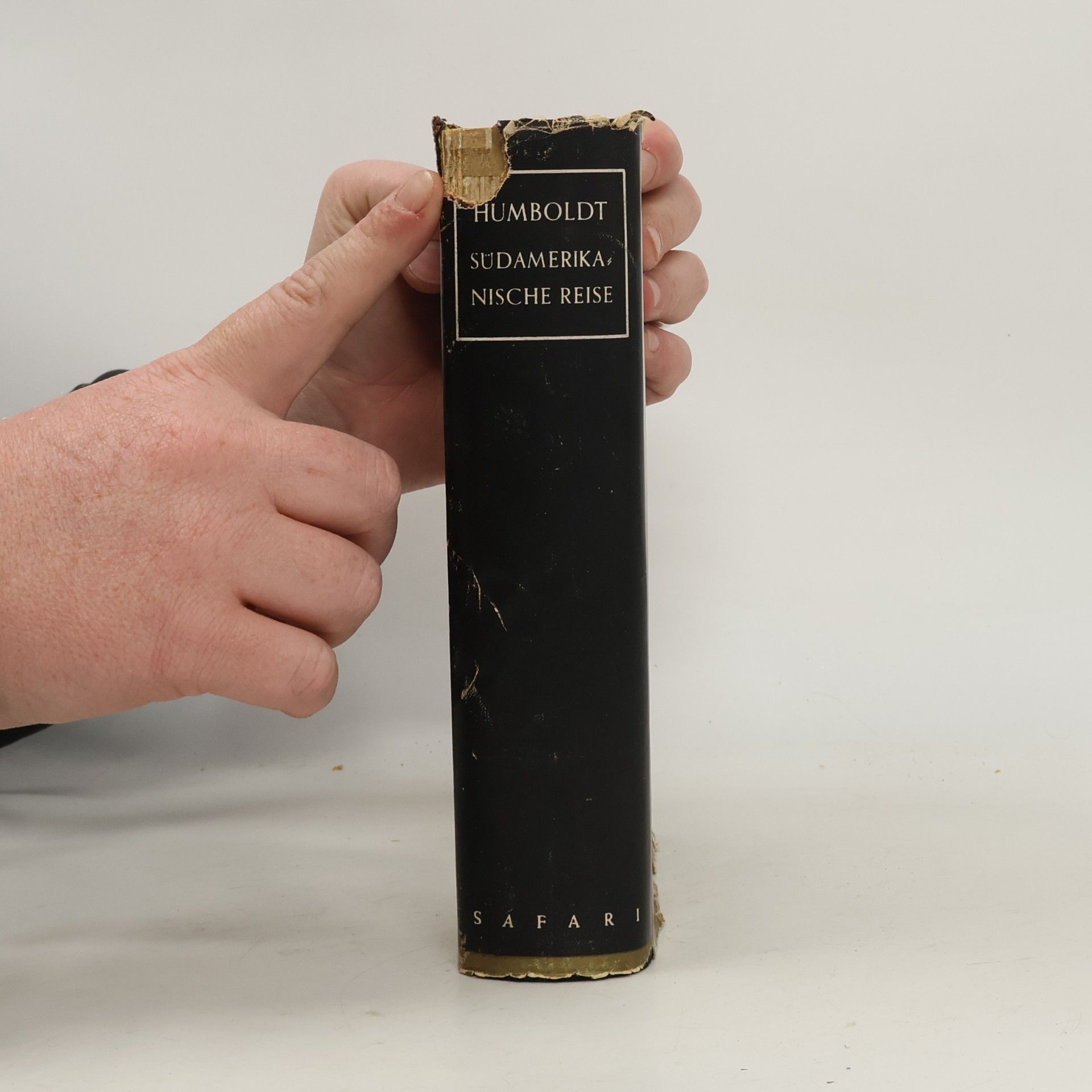 Alexander von Humboldt Südamerikanische Reise