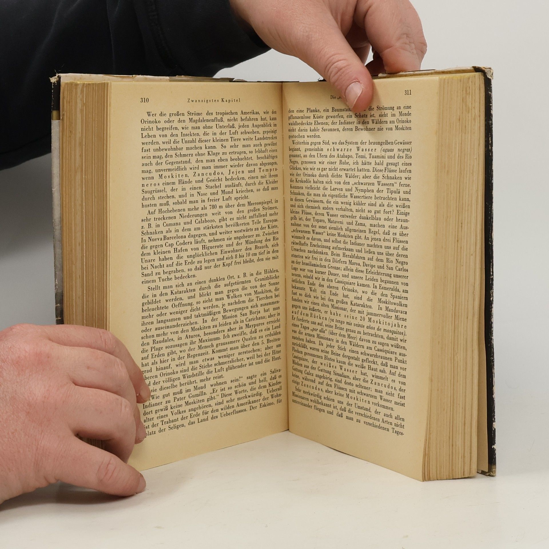 Alexander von Humboldt Südamerikanische Reise