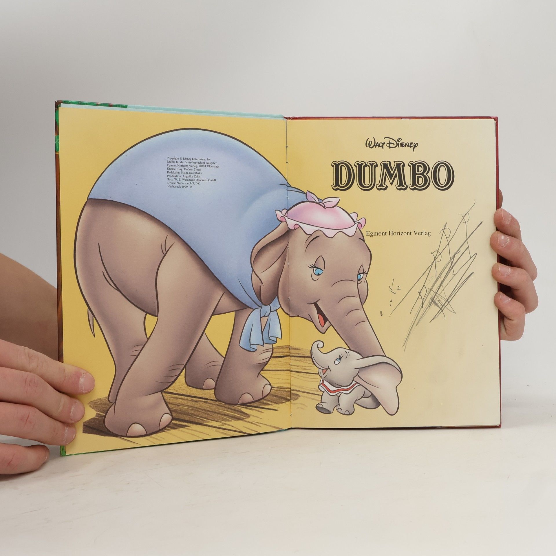 Autorenkollektiv Dumbo
