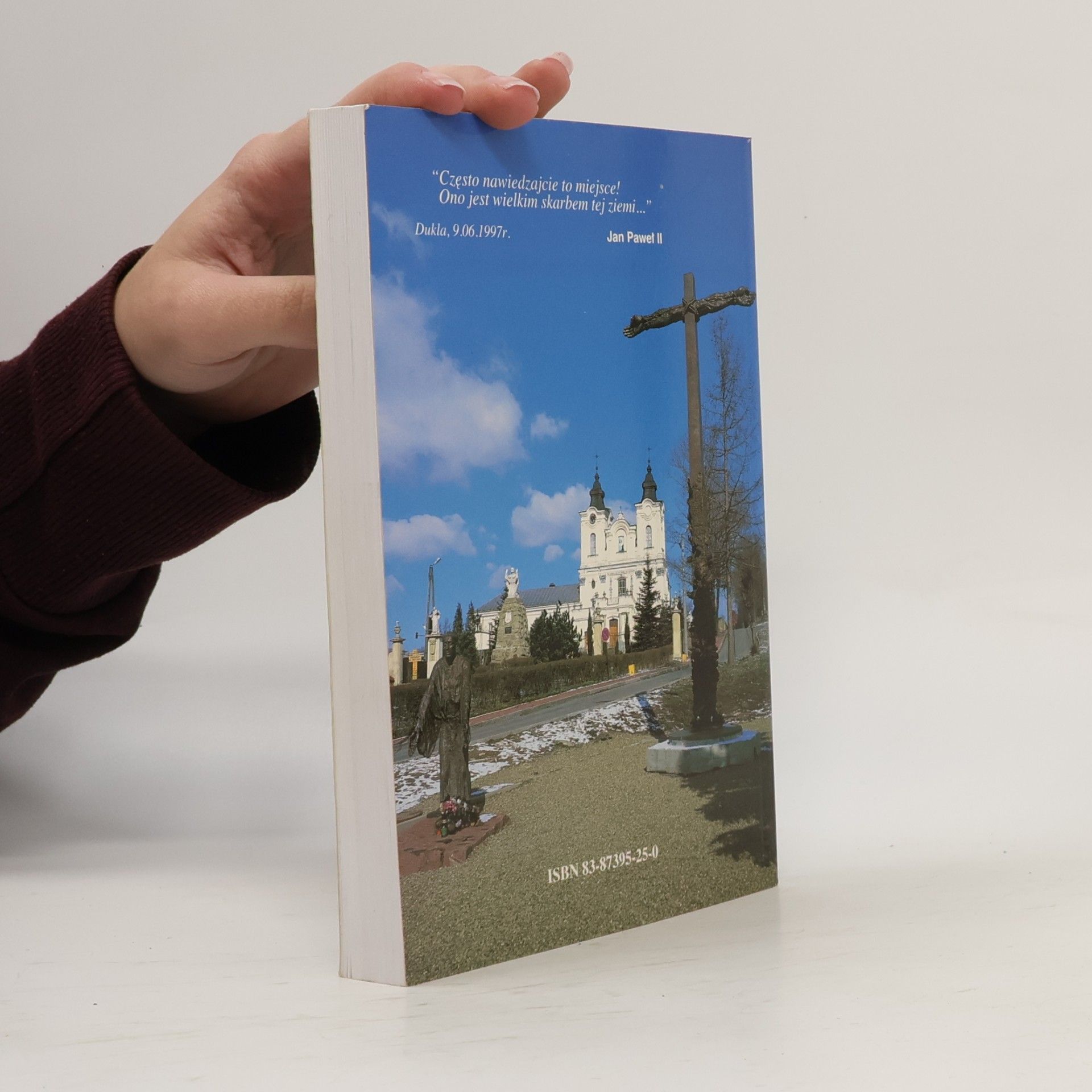 Autorenkollektiv Kazania o św. Janie z Dukli