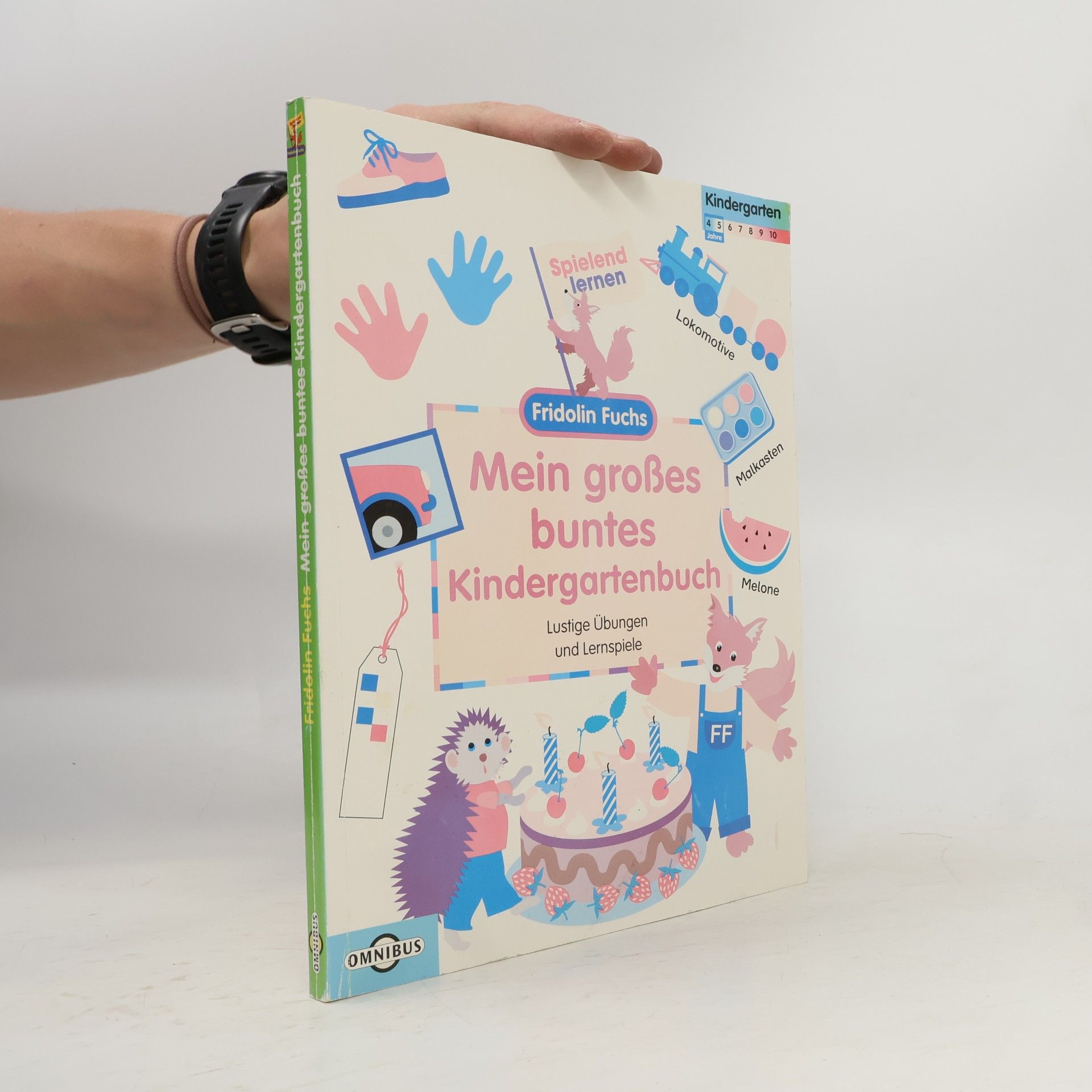Fridolin Fuchs: Mein großes buntes Kindergartenbuch