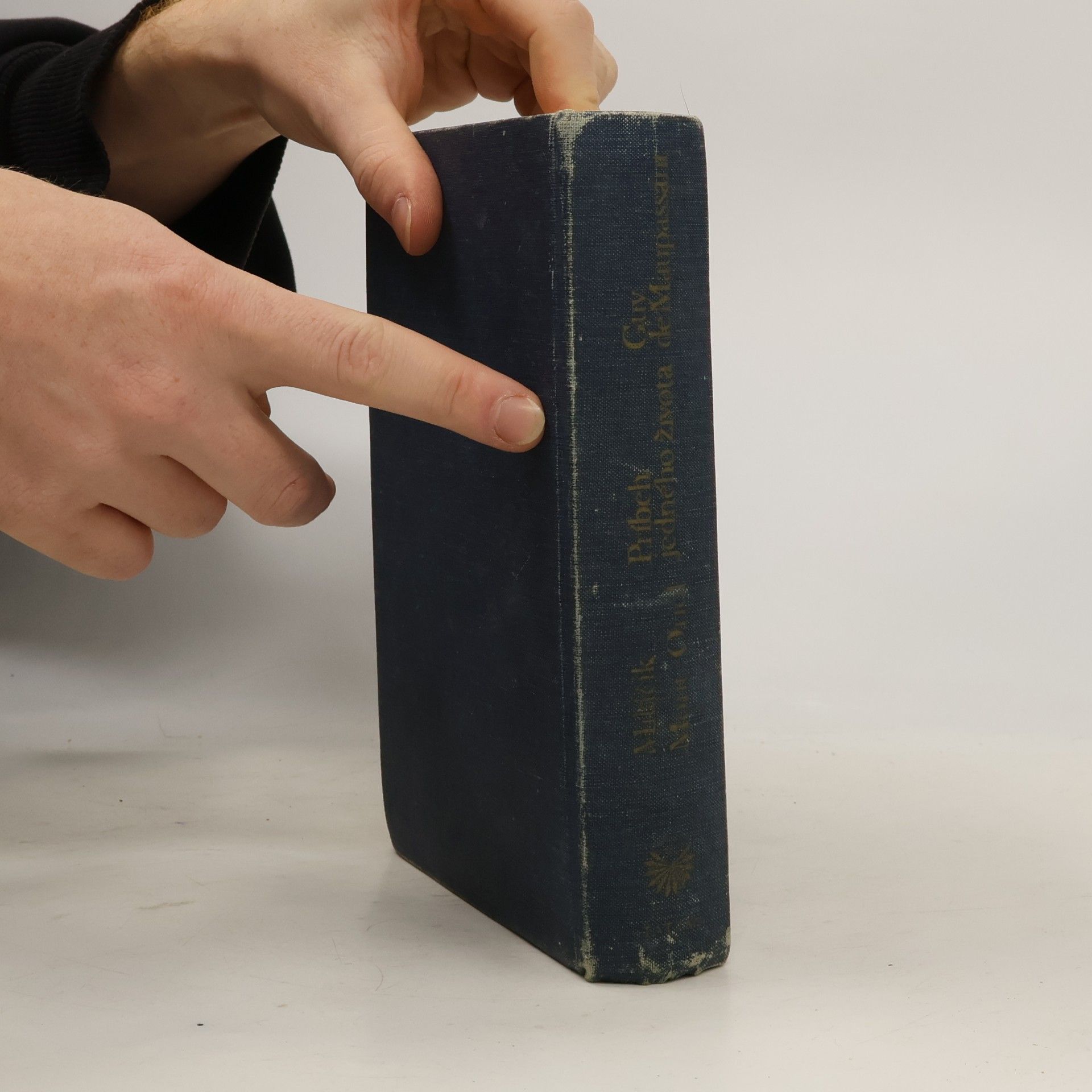 Guy de Maupassant Příběh jednoho života