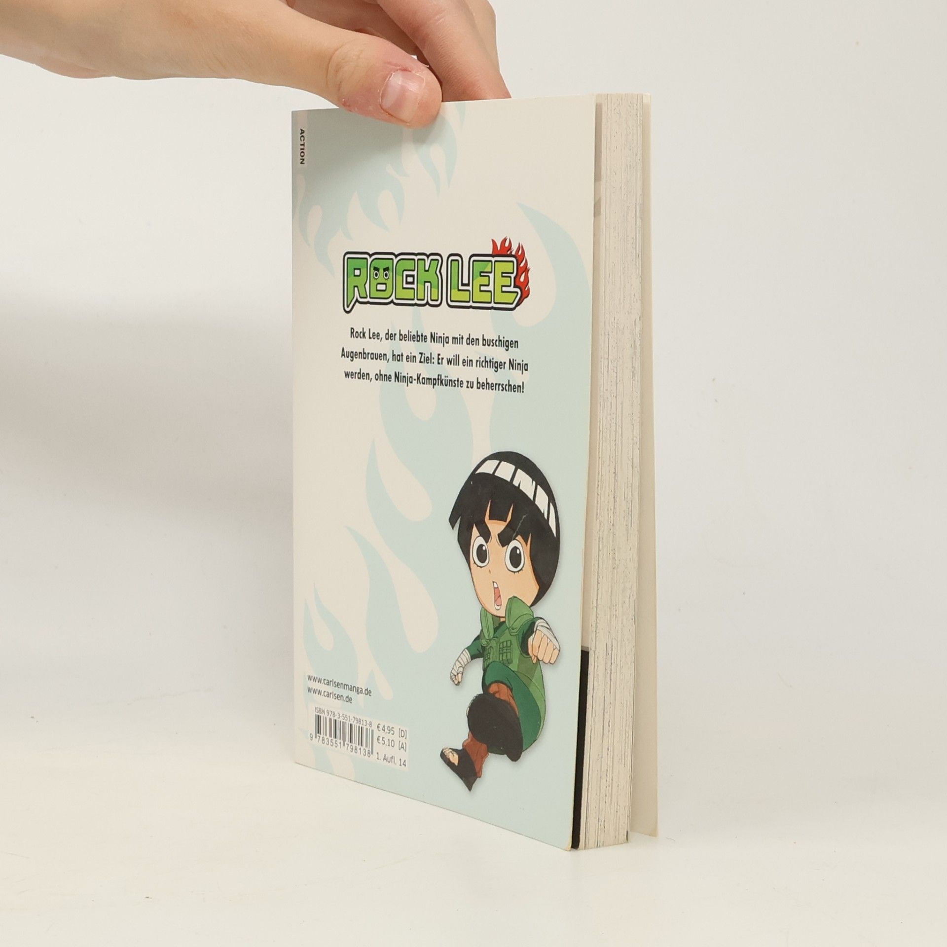 Miyuki Tsuji Rock Lee 3