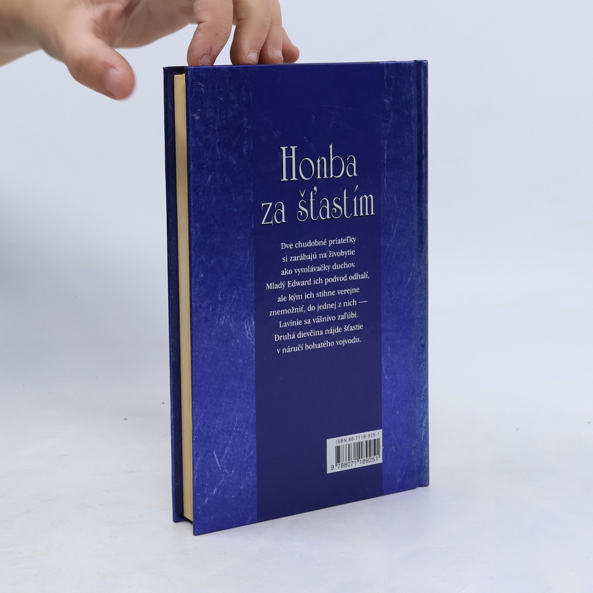 Meagan McKinney Honba za šťastím