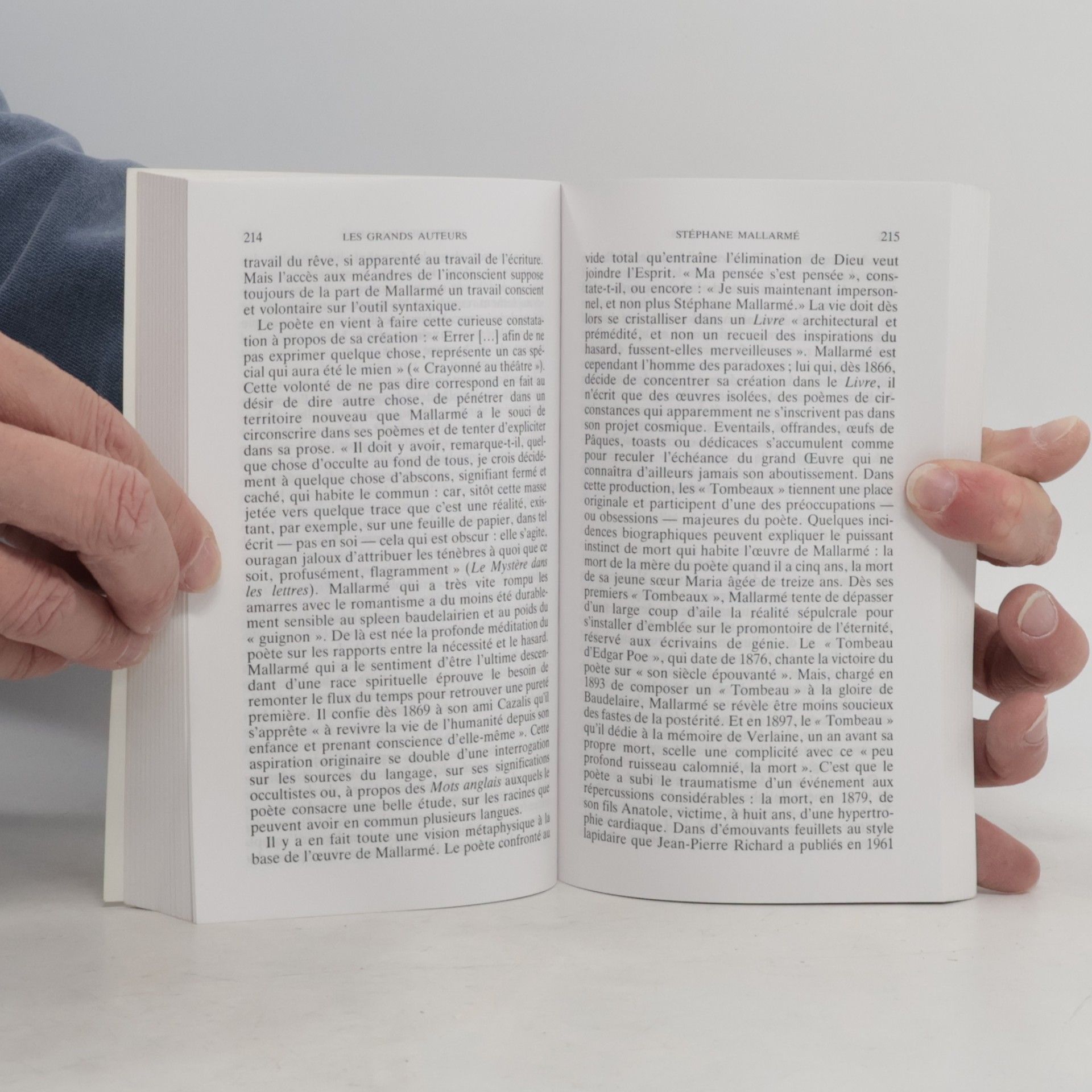 Michel Décaudin Histoire de la littérature française. De Zola à Apollinaire, 1869-1920