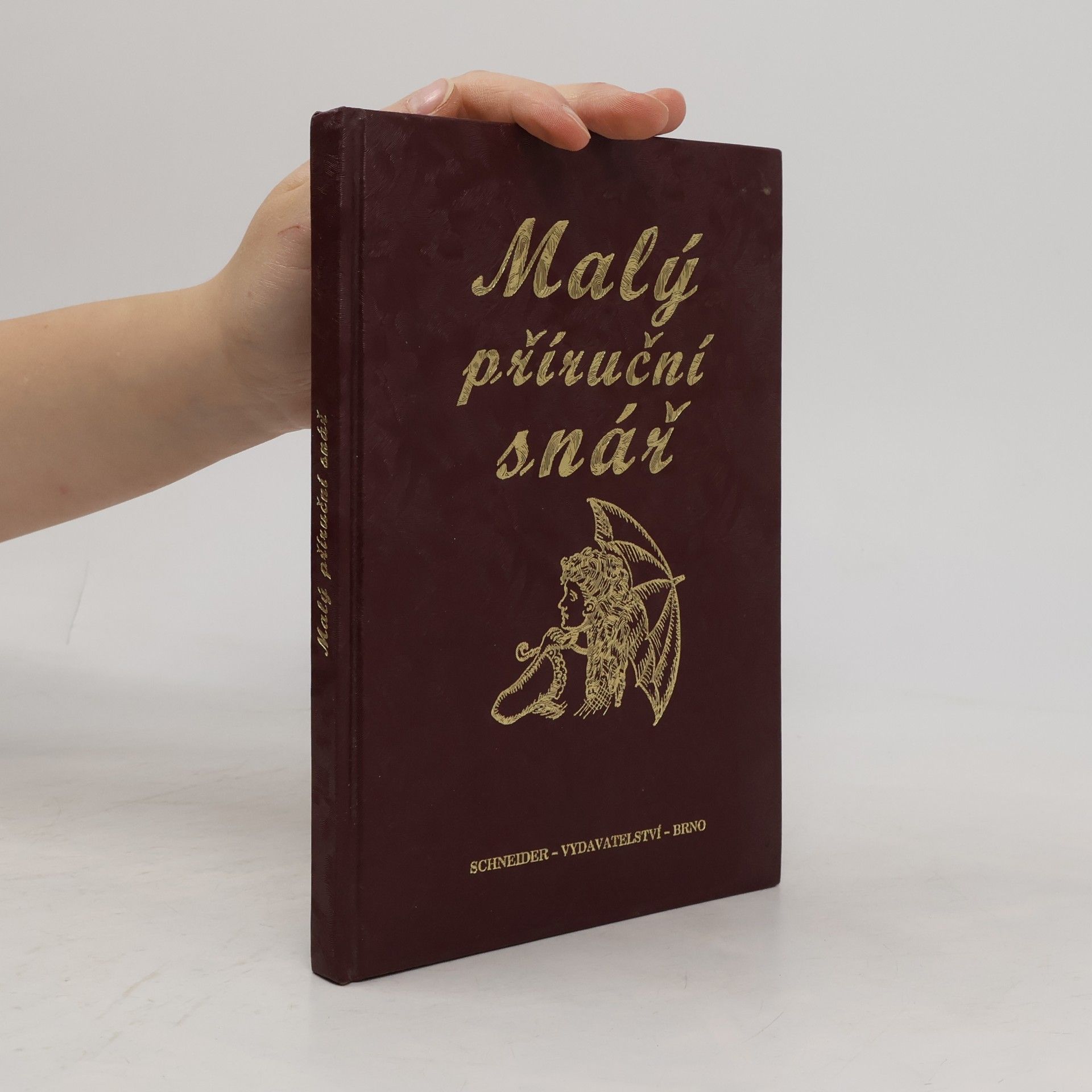 Kolektiv autorů Malý příruční snář
