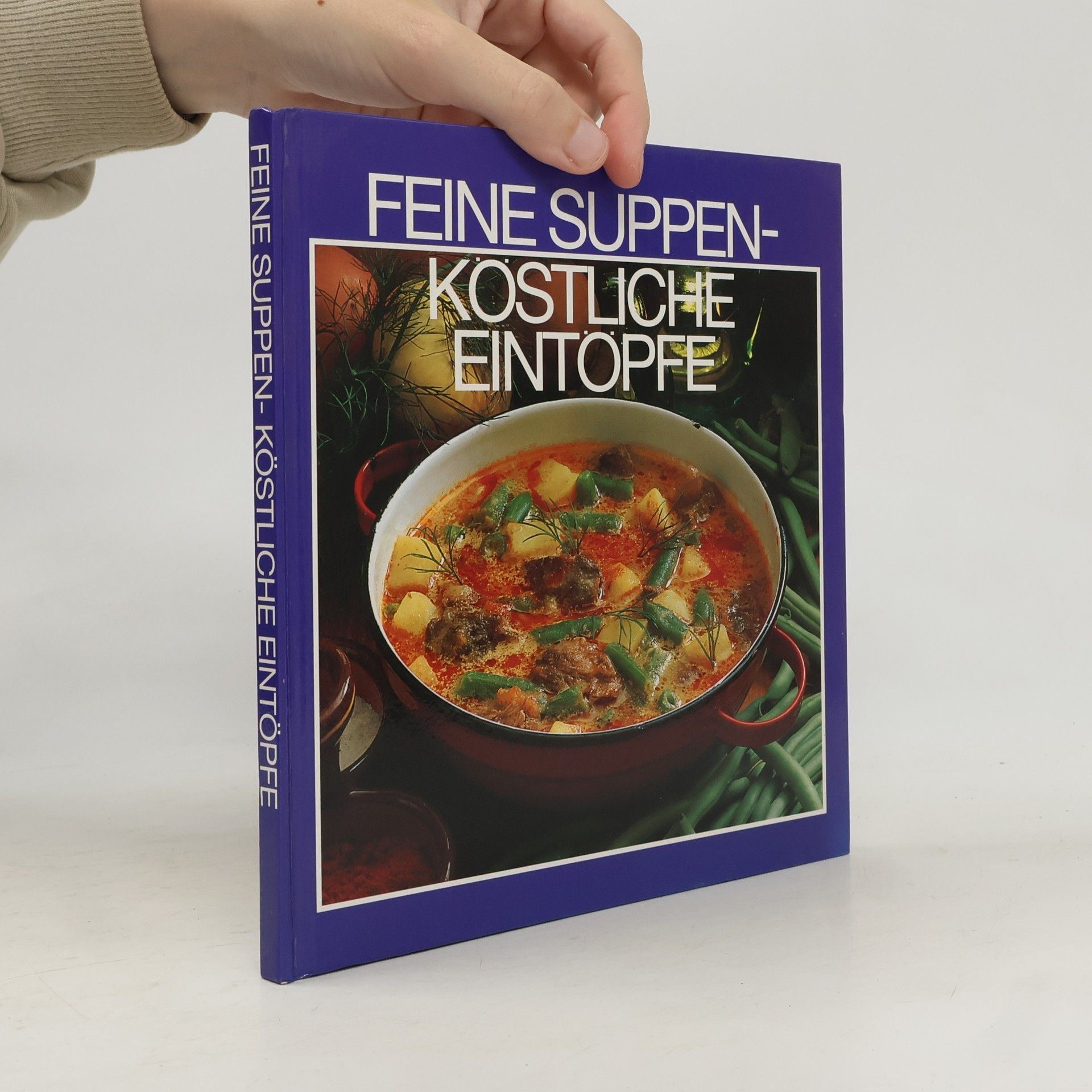 Kolektiv autorů Feine Suppen Köstliche eintöpfe