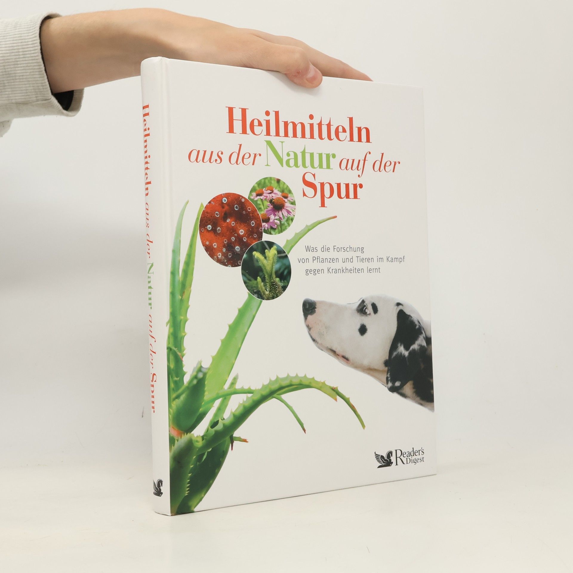 Heilmitteln aus der Natur auf der Spur