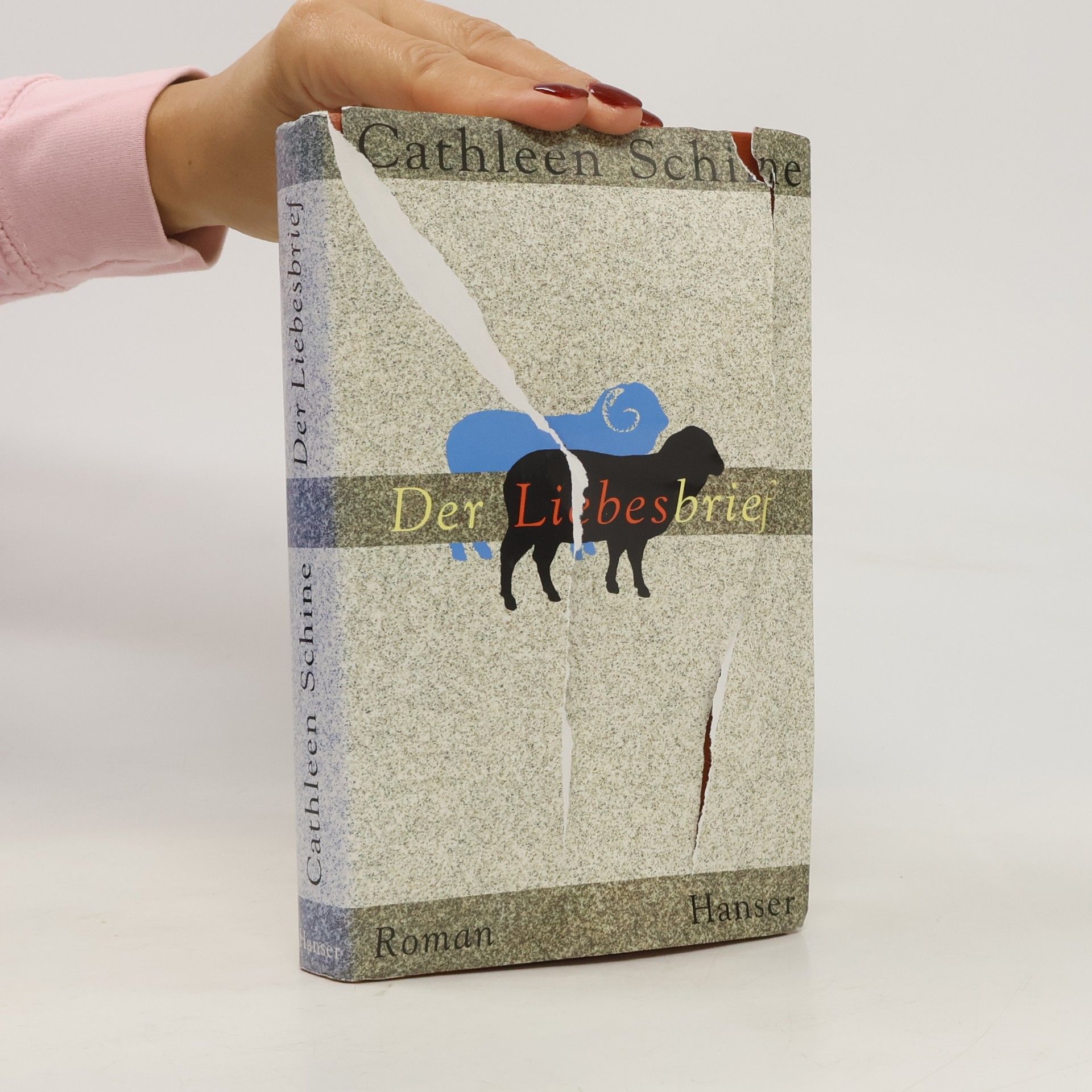 Cathleen Schine Der Liebesbrief