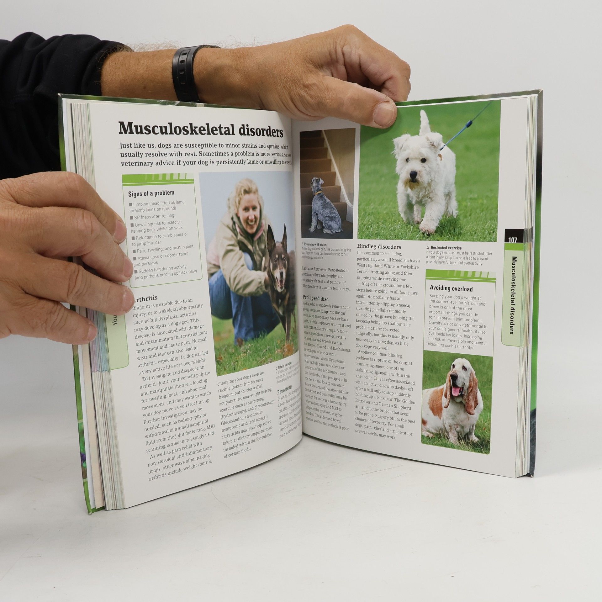 Autorenkollektiv Complete dog care