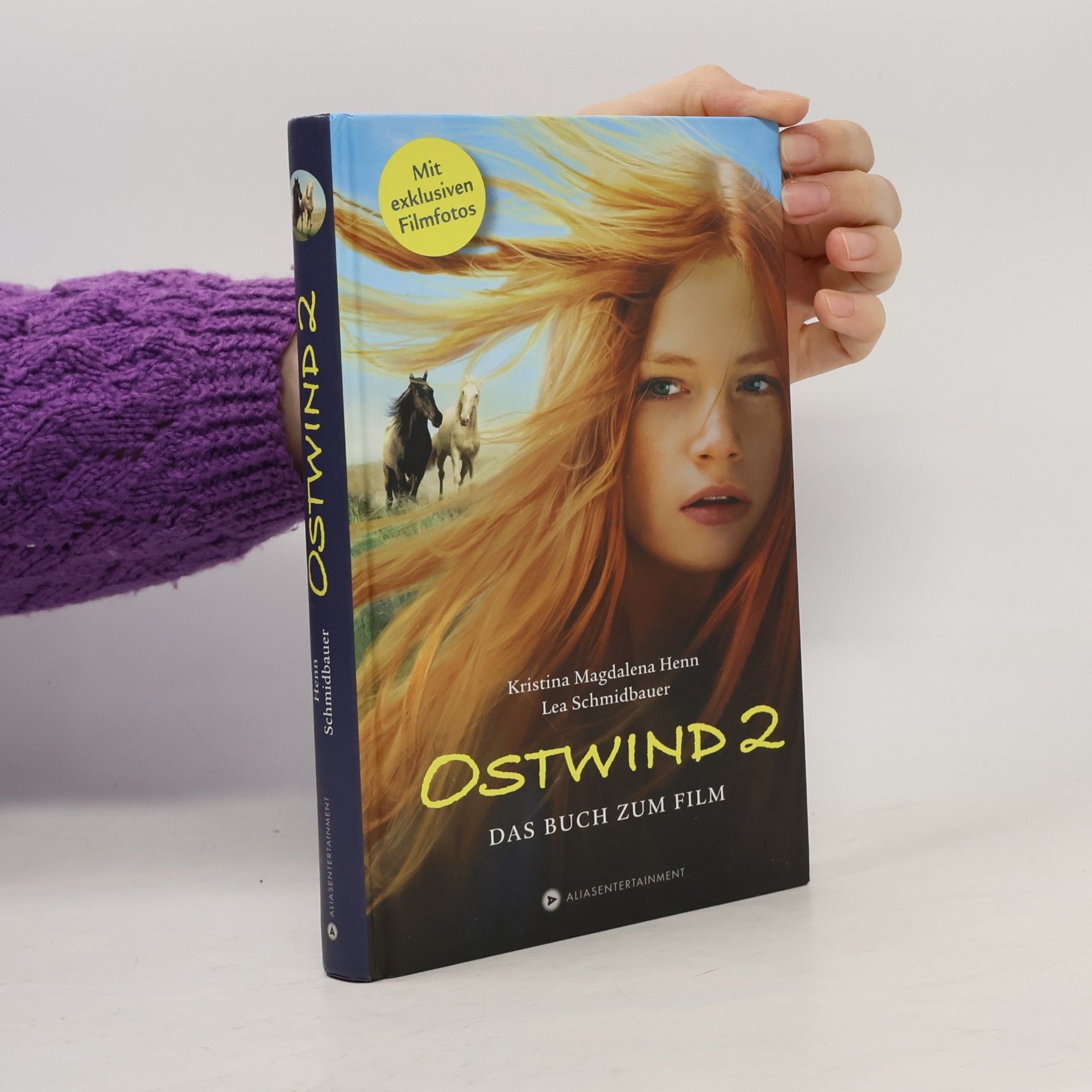 Ostwind 2 - Das Buch zum Film