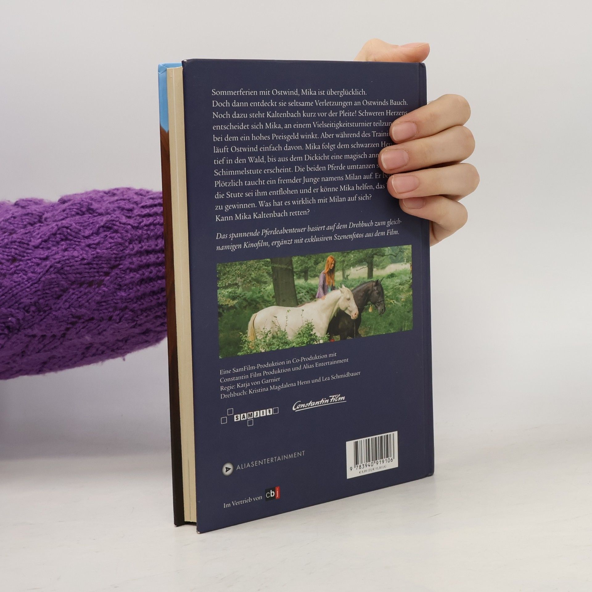 Kristina Magdalena Henn Ostwind 2 - Das Buch zum Film