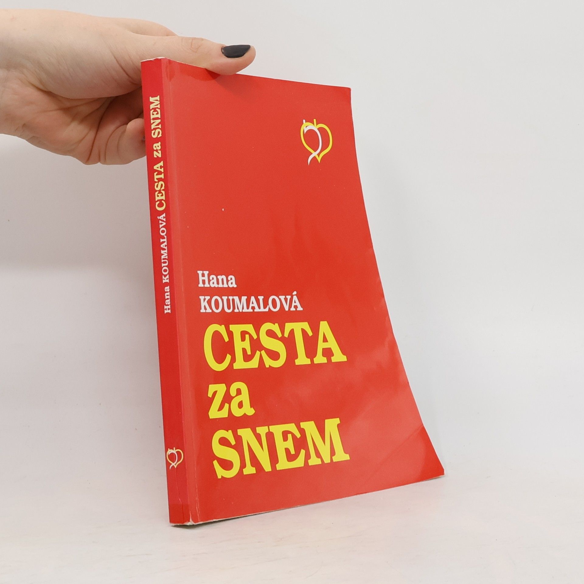 Cesta za snem