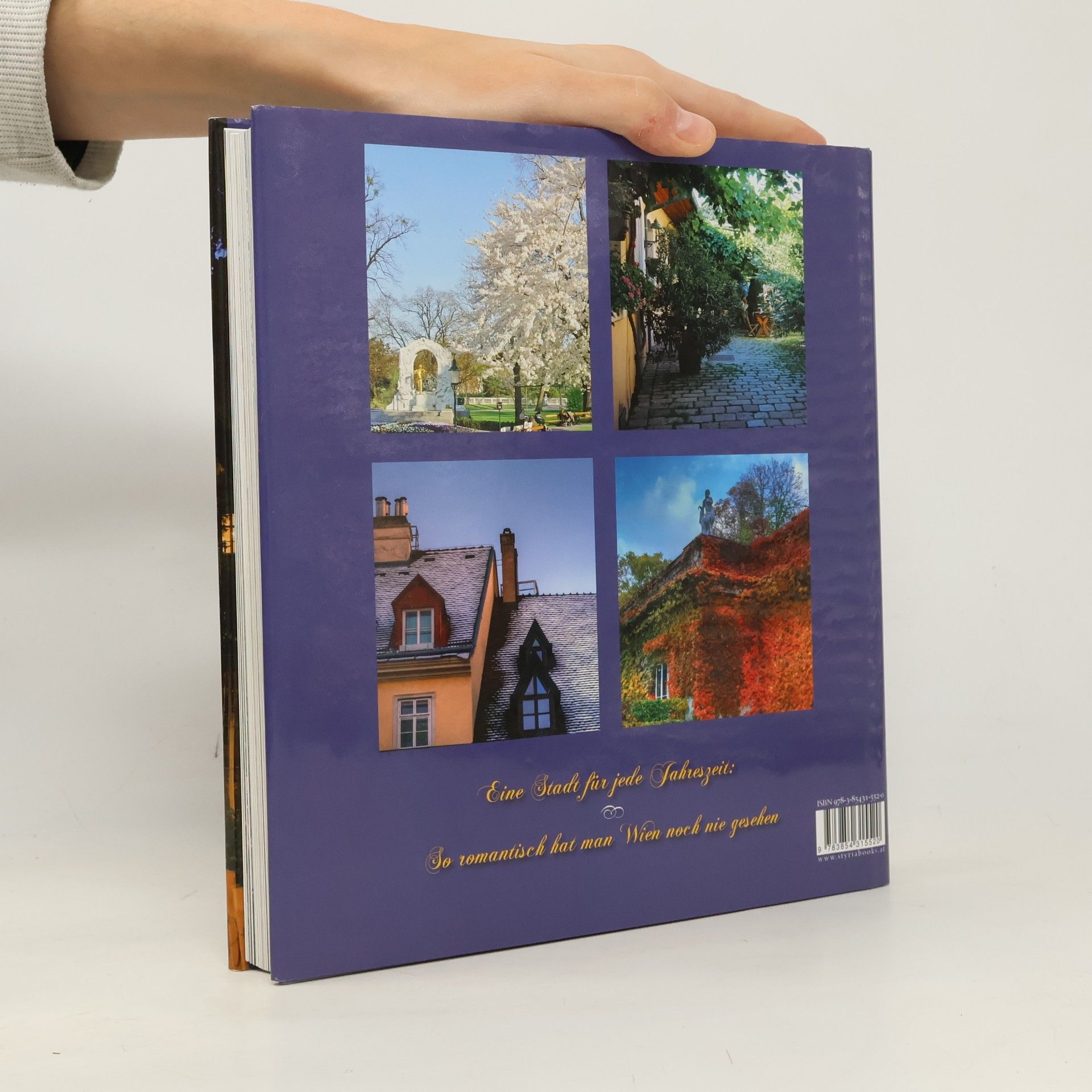 Barbara Sternthal Romantisches Wien