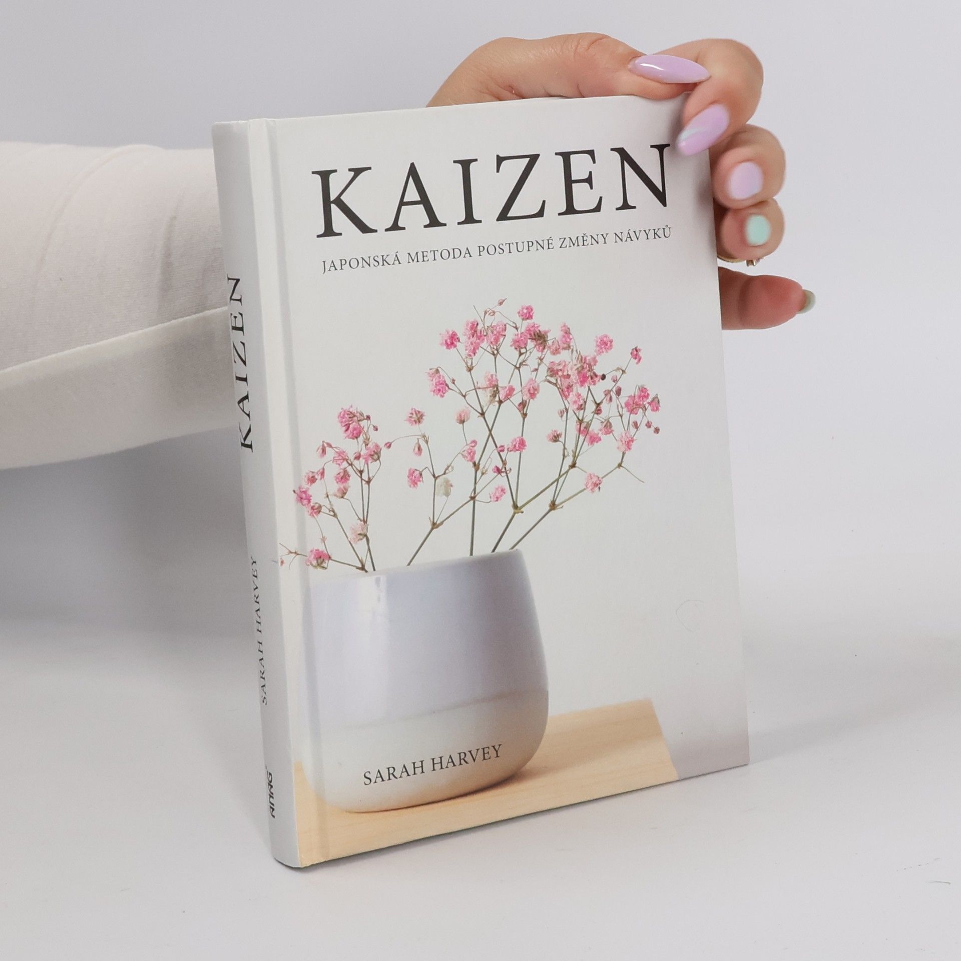 Kaizen: Japonská metoda postupné změny návyků