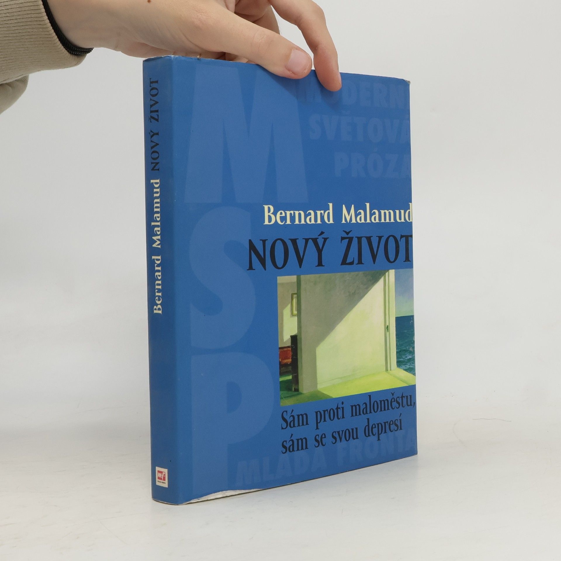 Bernard Malamud Nový život. Sám proti maloměstu sám se svou depresí