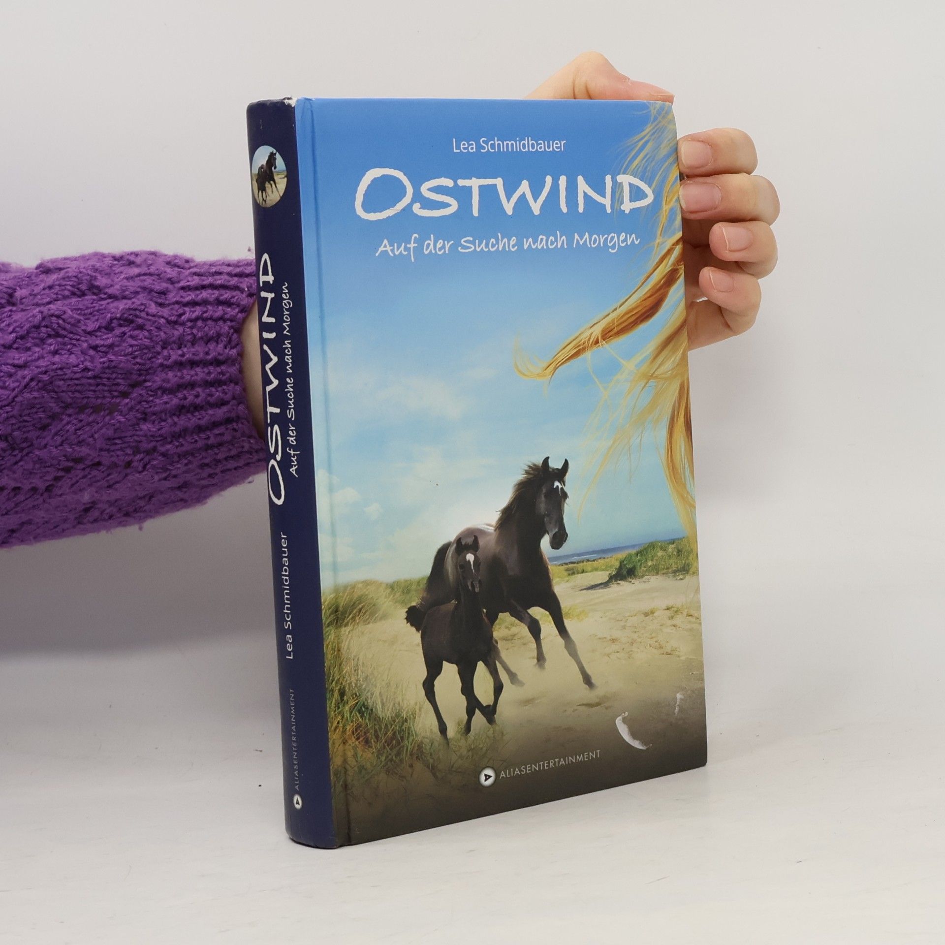Ostwind - auf der Suche nach Morgen