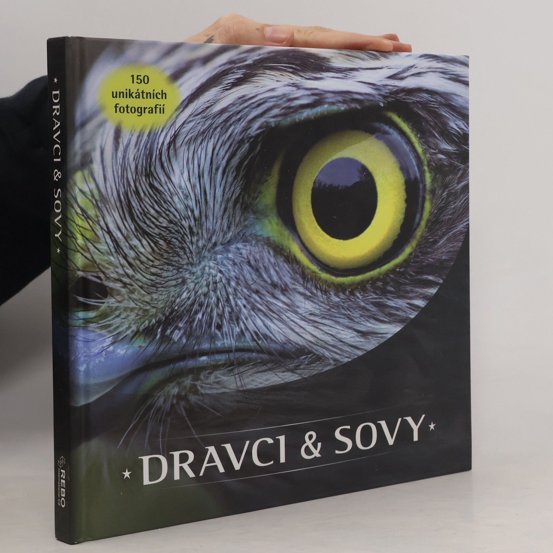 Jaap Schelvis Dravci & Sovy