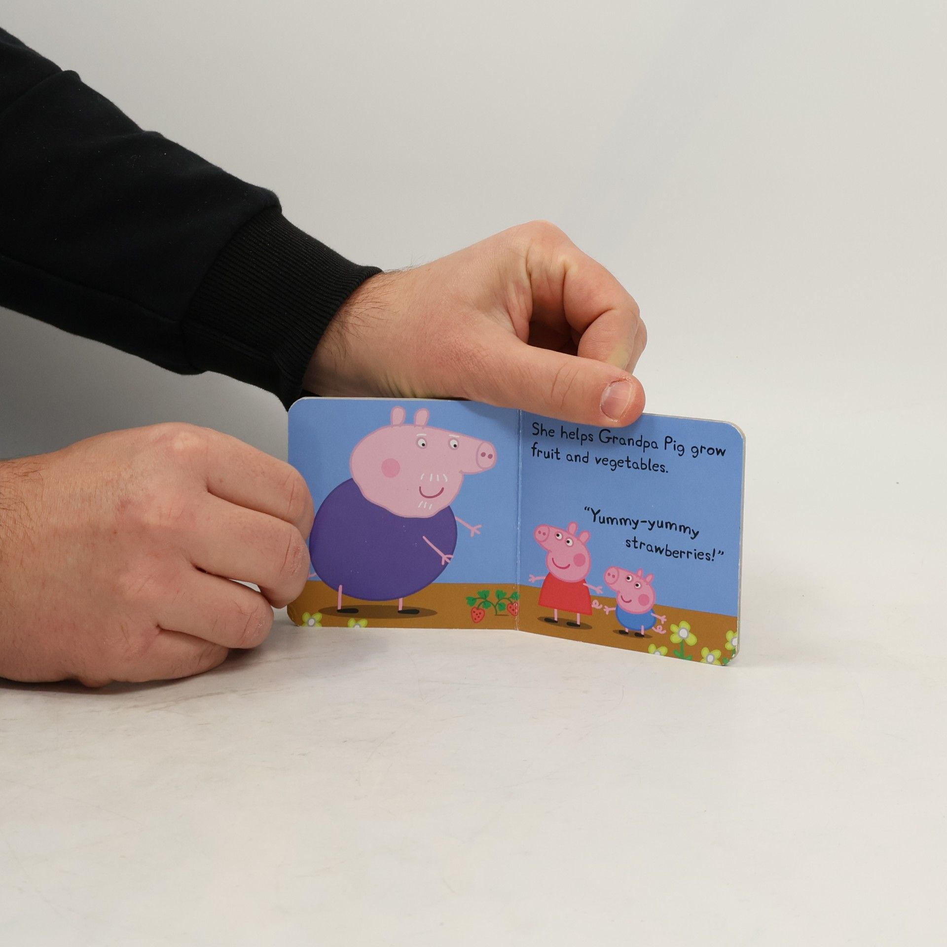 Autores varios Peppa´s Garden