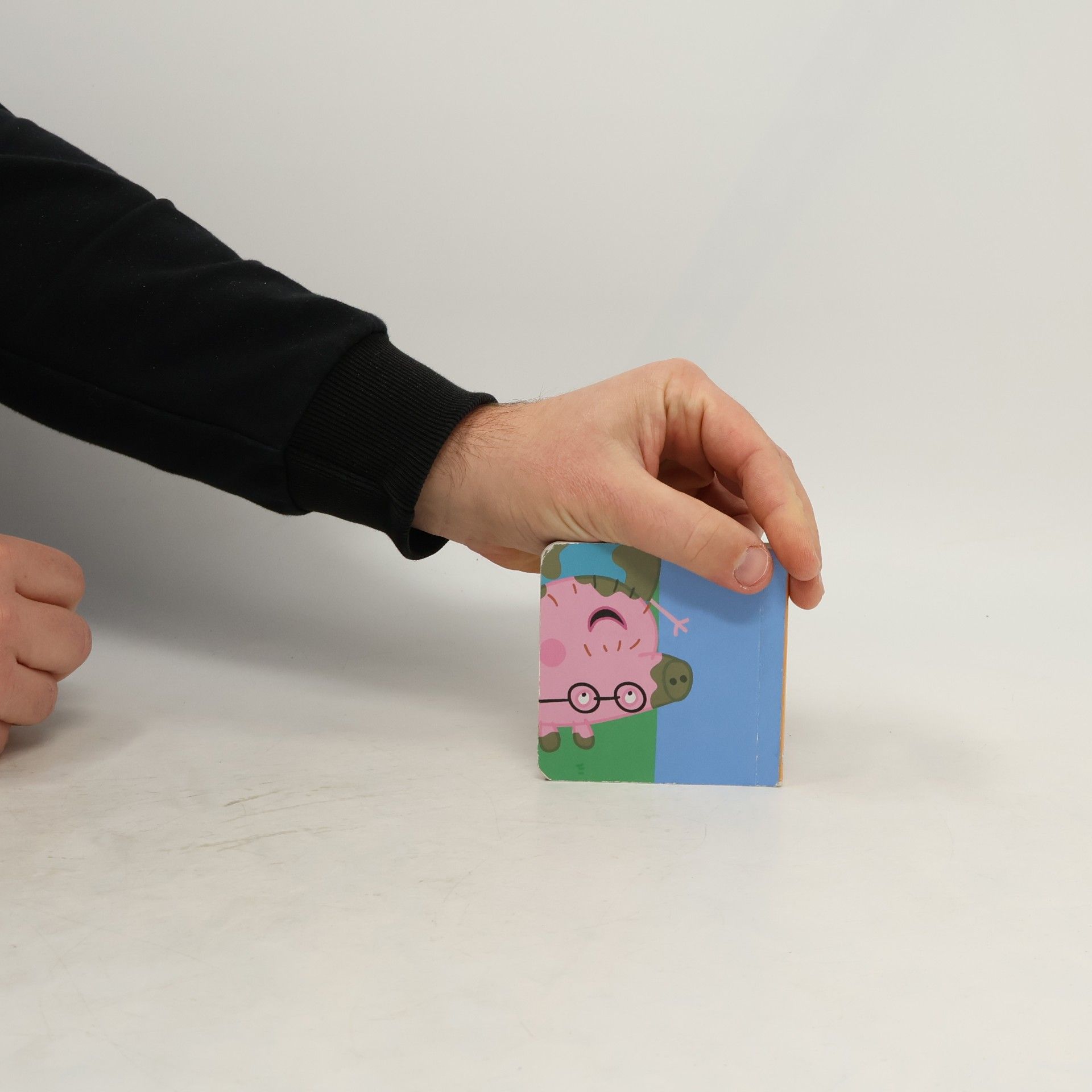 Autores varios Peppa´s Garden