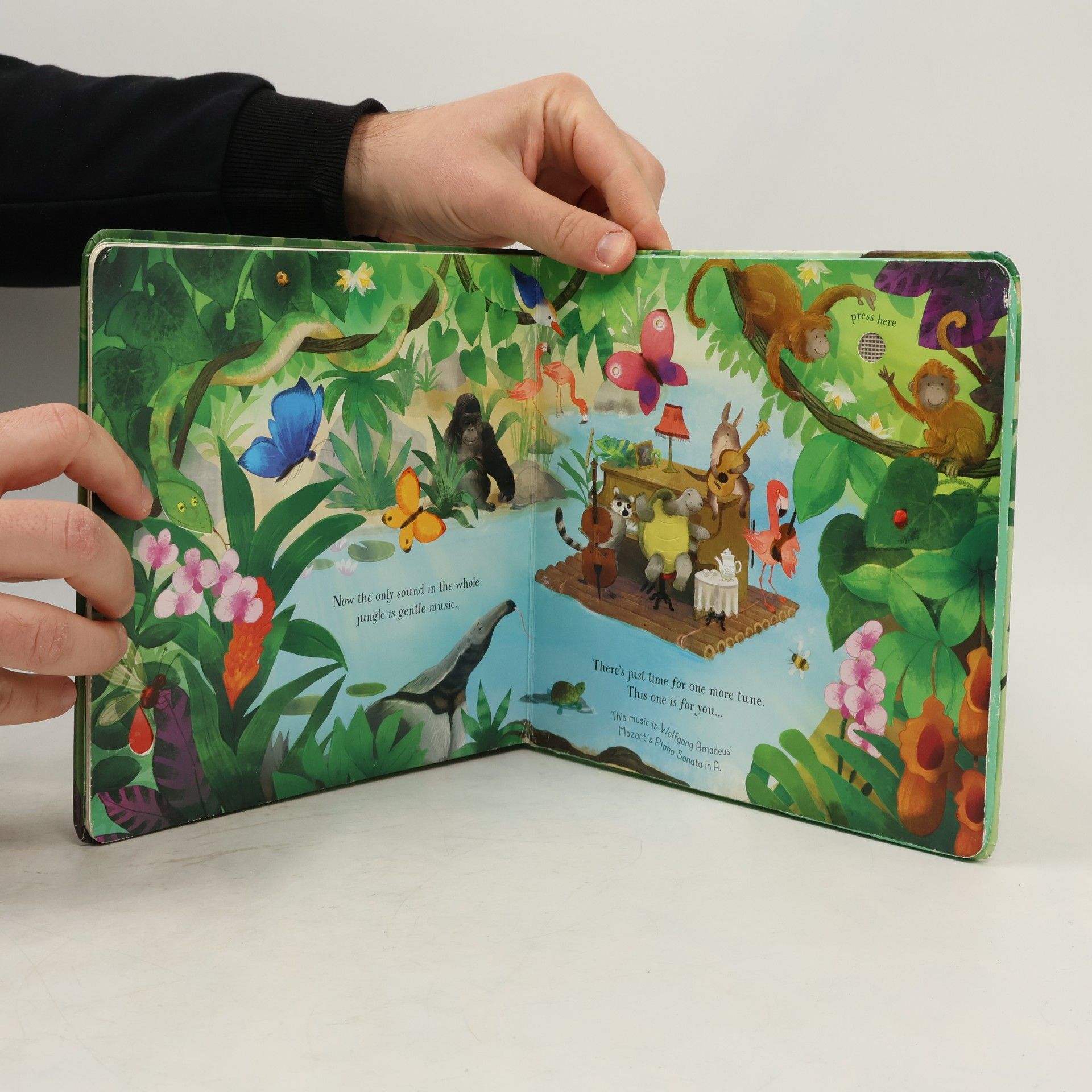 Sam Taplin Musical Books - 1: Quiet Time Music Book