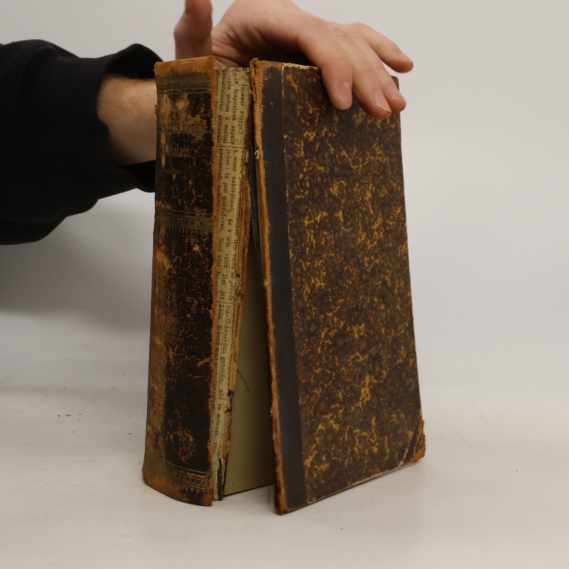 Literatura česká devatenáctého století I.