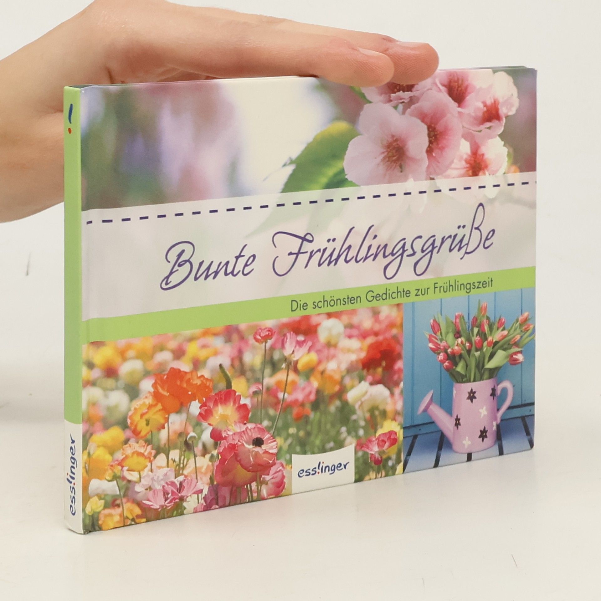Bunte Frühlingsgrüße: Die schönsten Gedichte zur Frühlingszeit