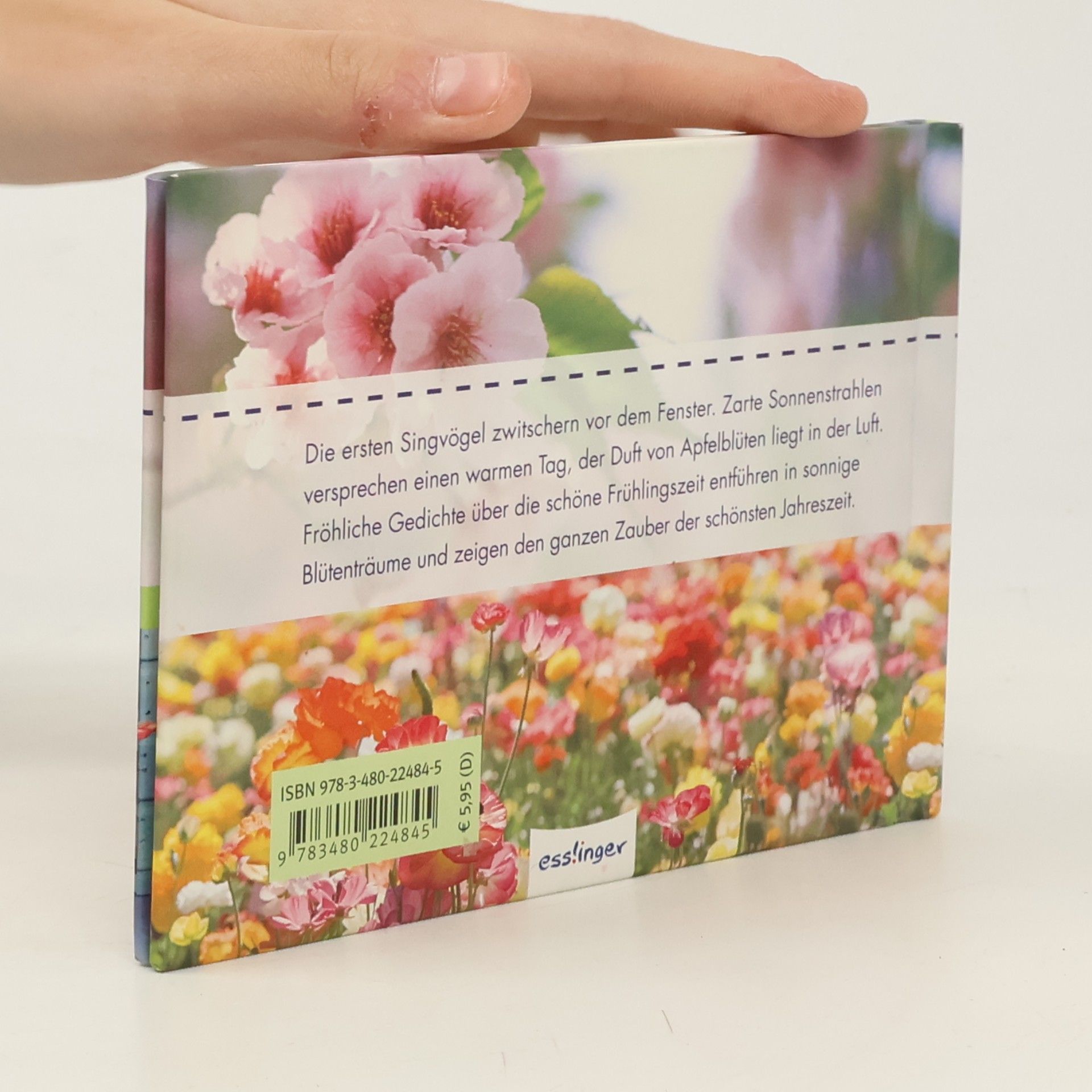Bunte Frühlingsgrüße: Die schönsten Gedichte zur Frühlingszeit
