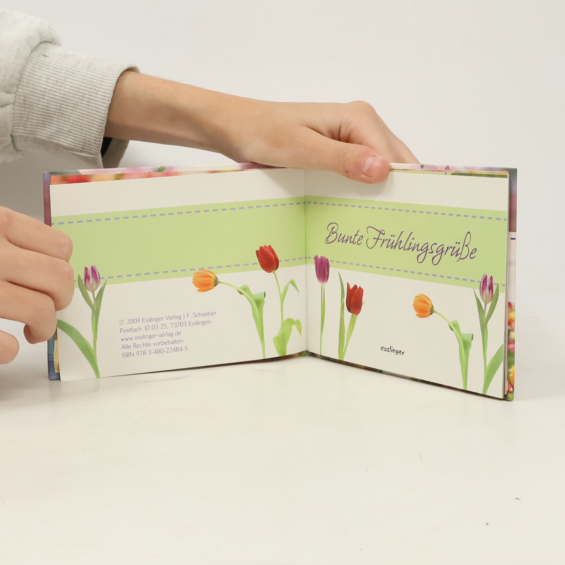 Bunte Frühlingsgrüße: Die schönsten Gedichte zur Frühlingszeit