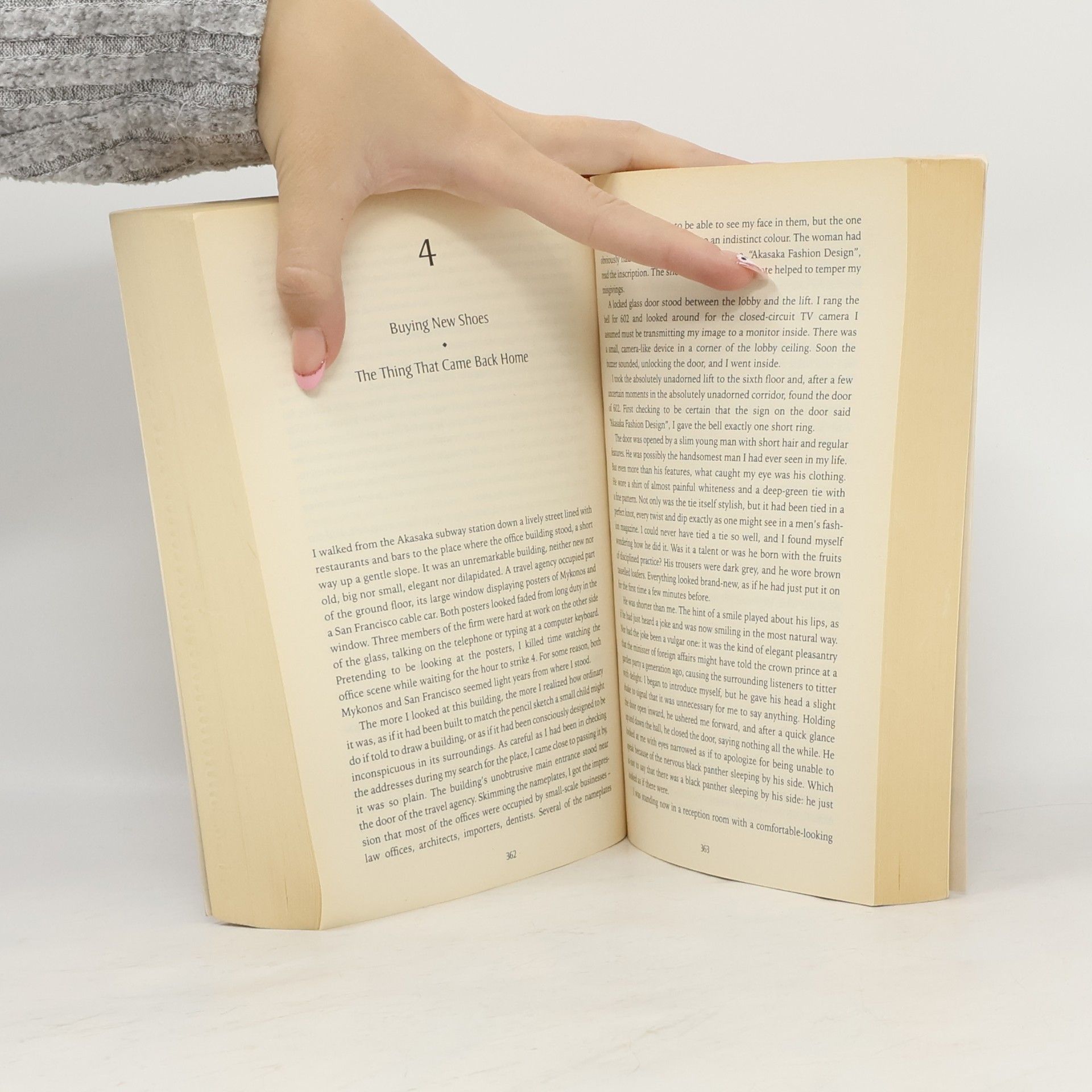 Haruki Murakami The Wind-up Bird Chronicle