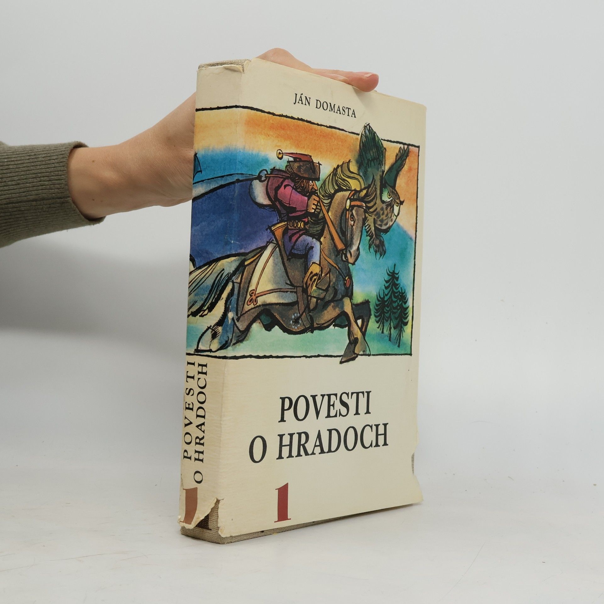 Povesti o hradoch 1