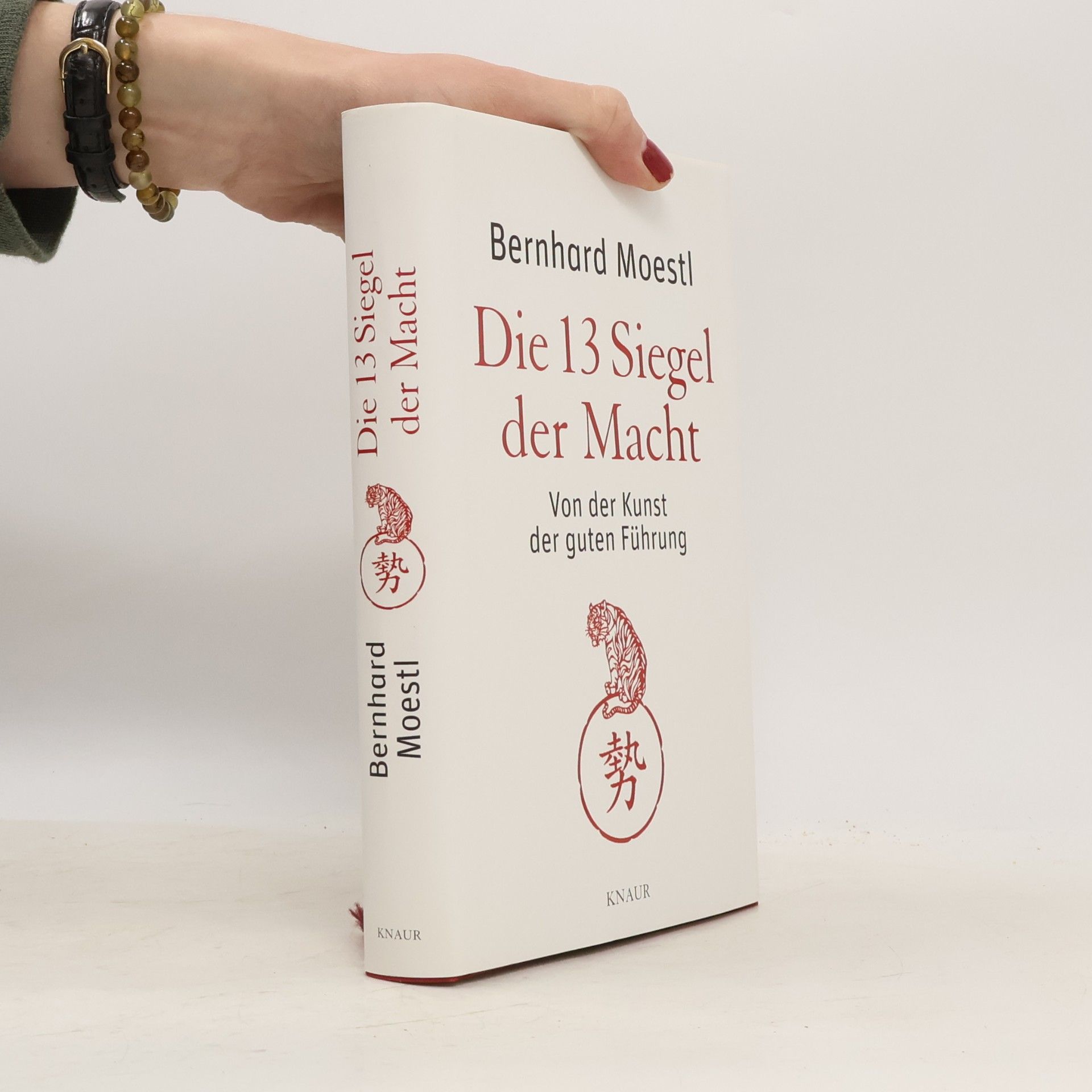 Die 13 Siegel der Macht