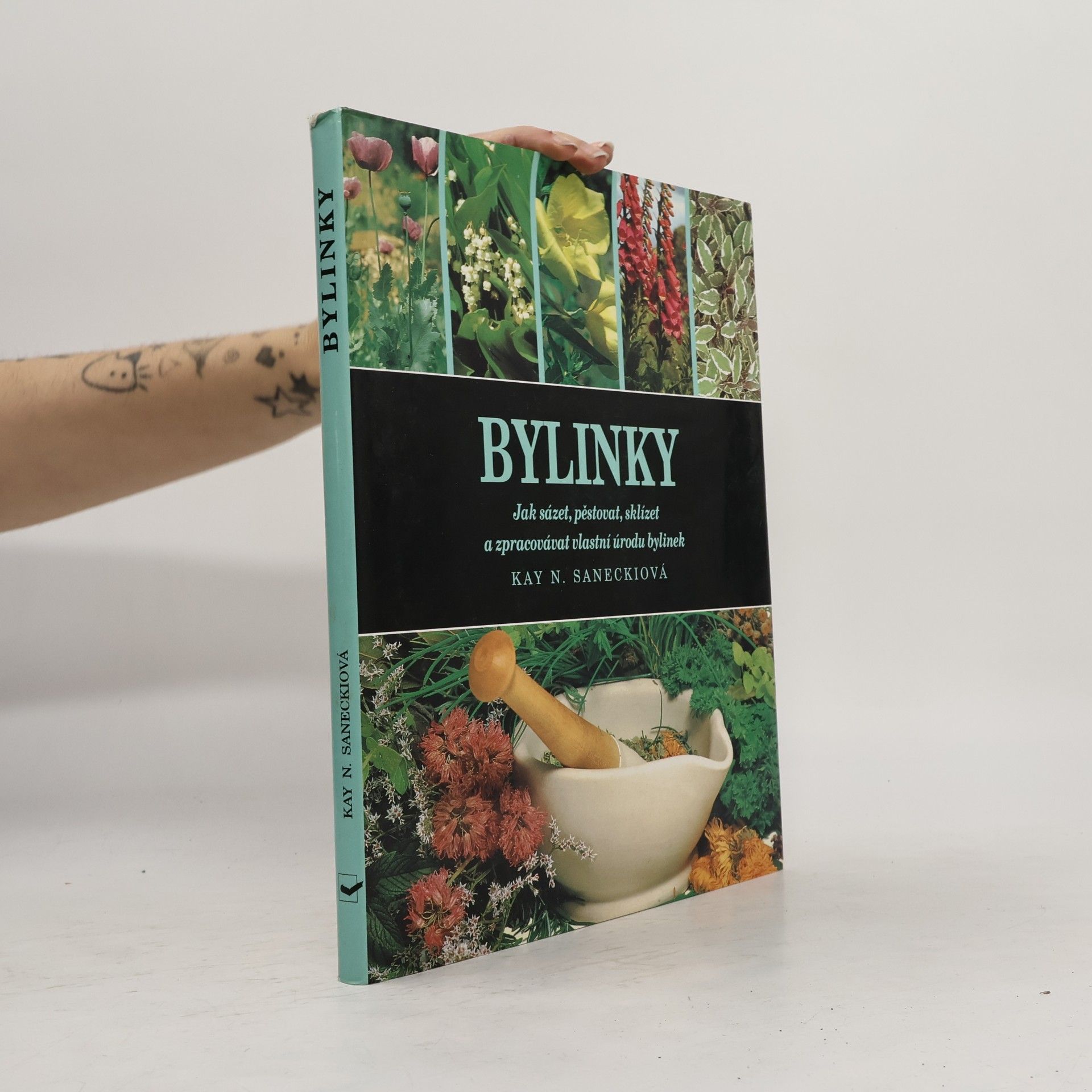 Bylinky