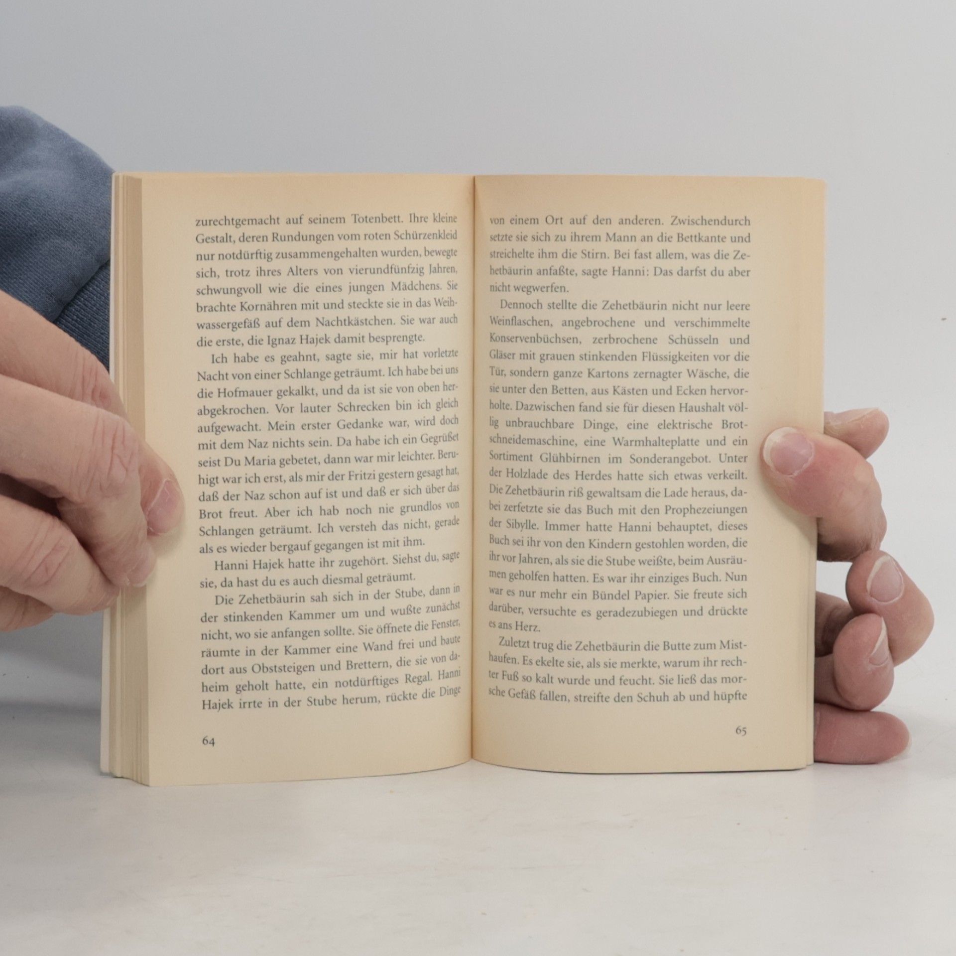 Josef Haslinger Der Tod des Kleinhäuslers Ignaz Hajek