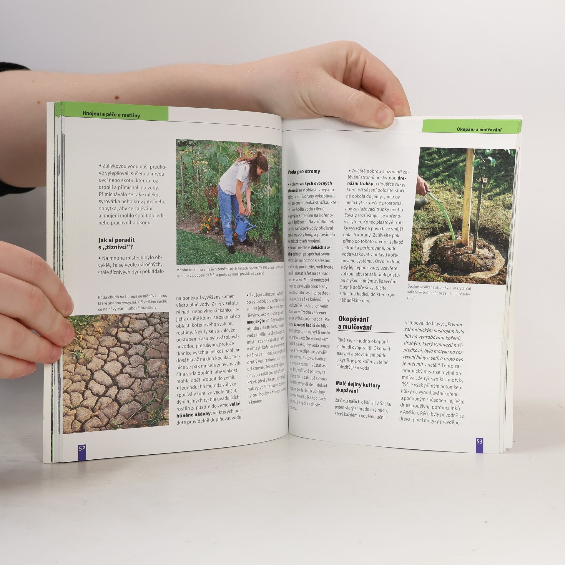 Andrea Kern Babiččiny rady do zahrady