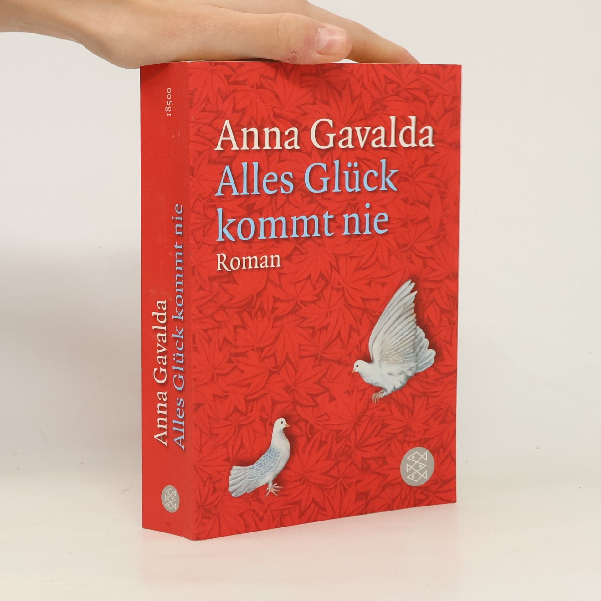 Anna Gavalda Alles Glück kommt nie
