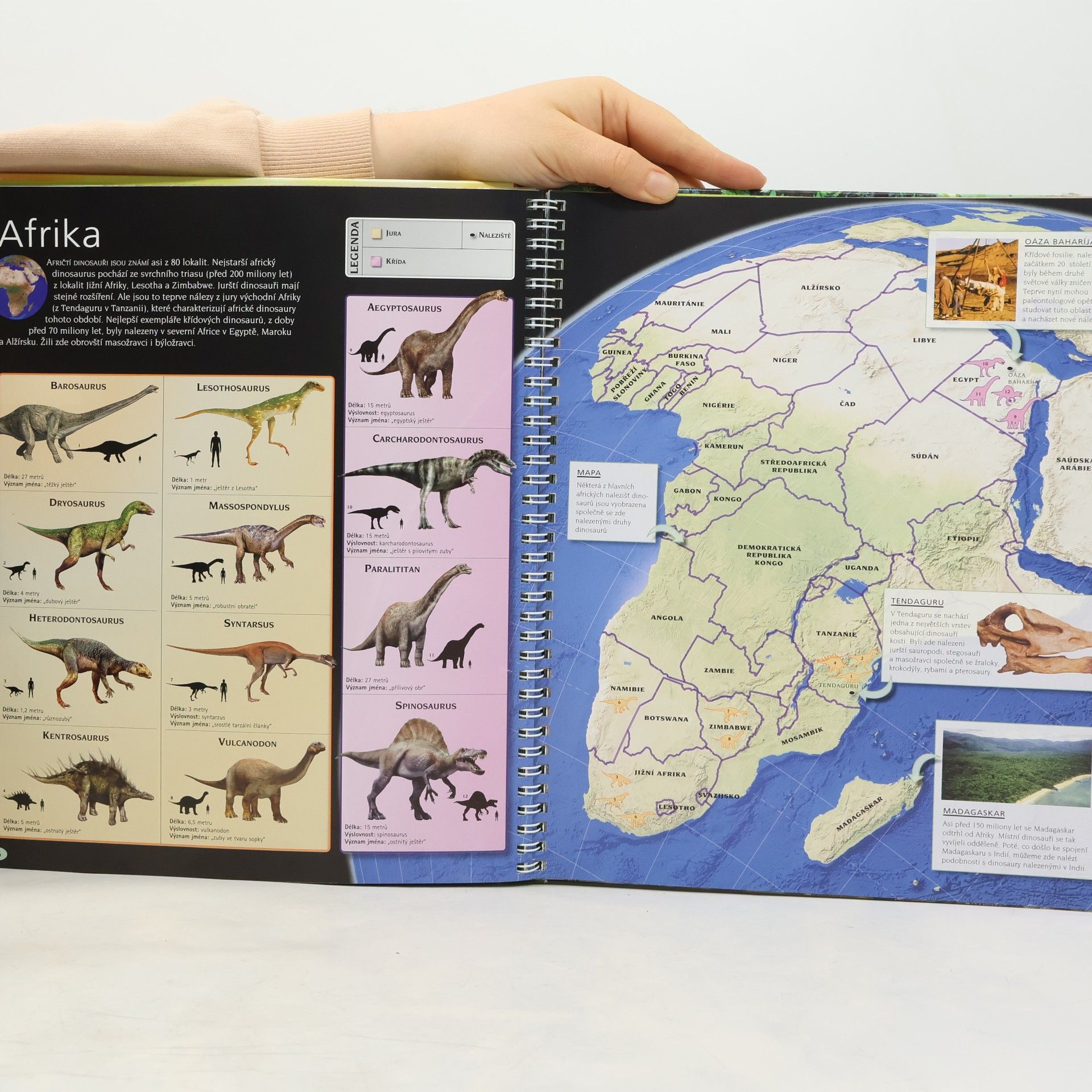 John Malam Atlas dinosaurů. Úžasná cesta zaniklým světem