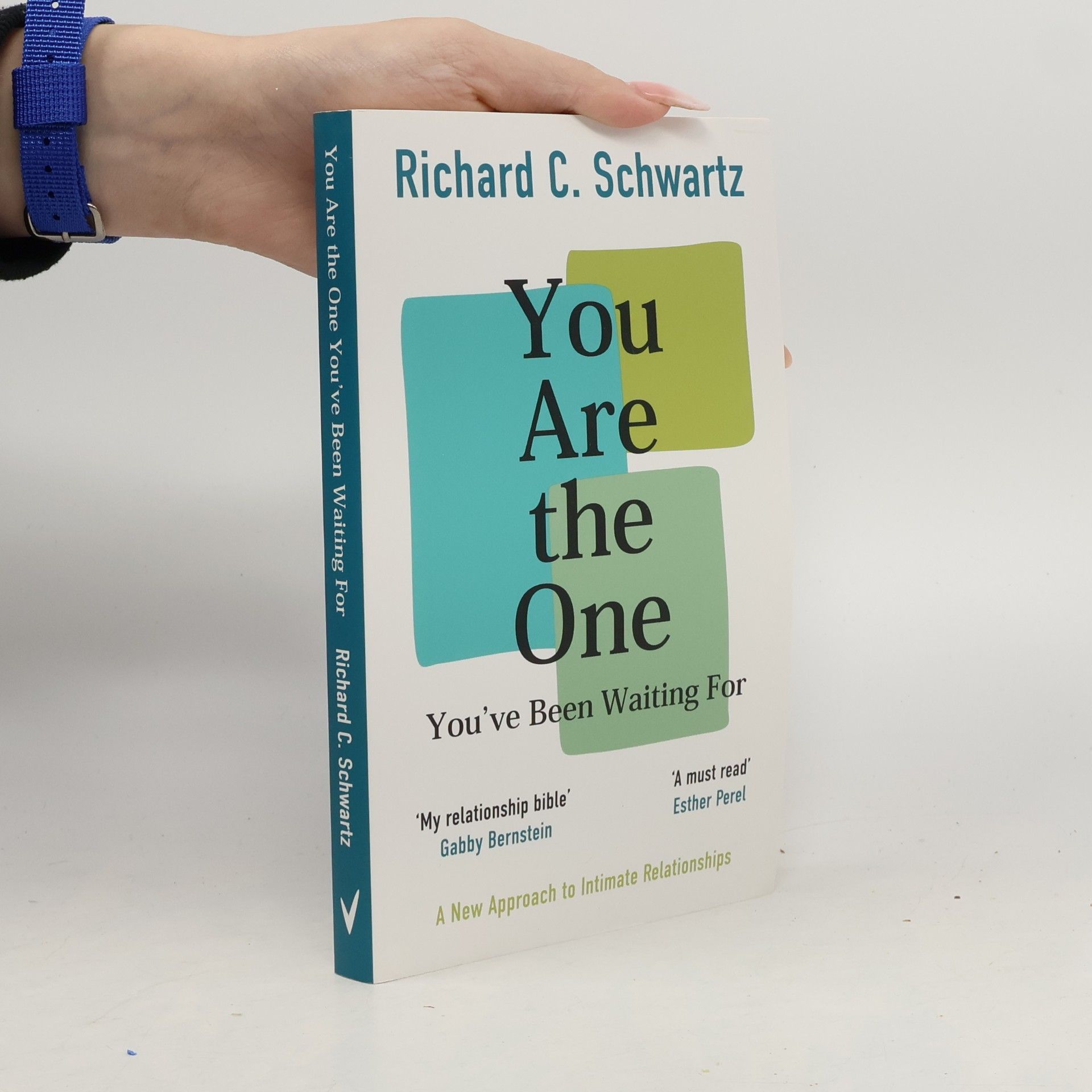 Richard Schwartz You Are the One You've Been Waiting For