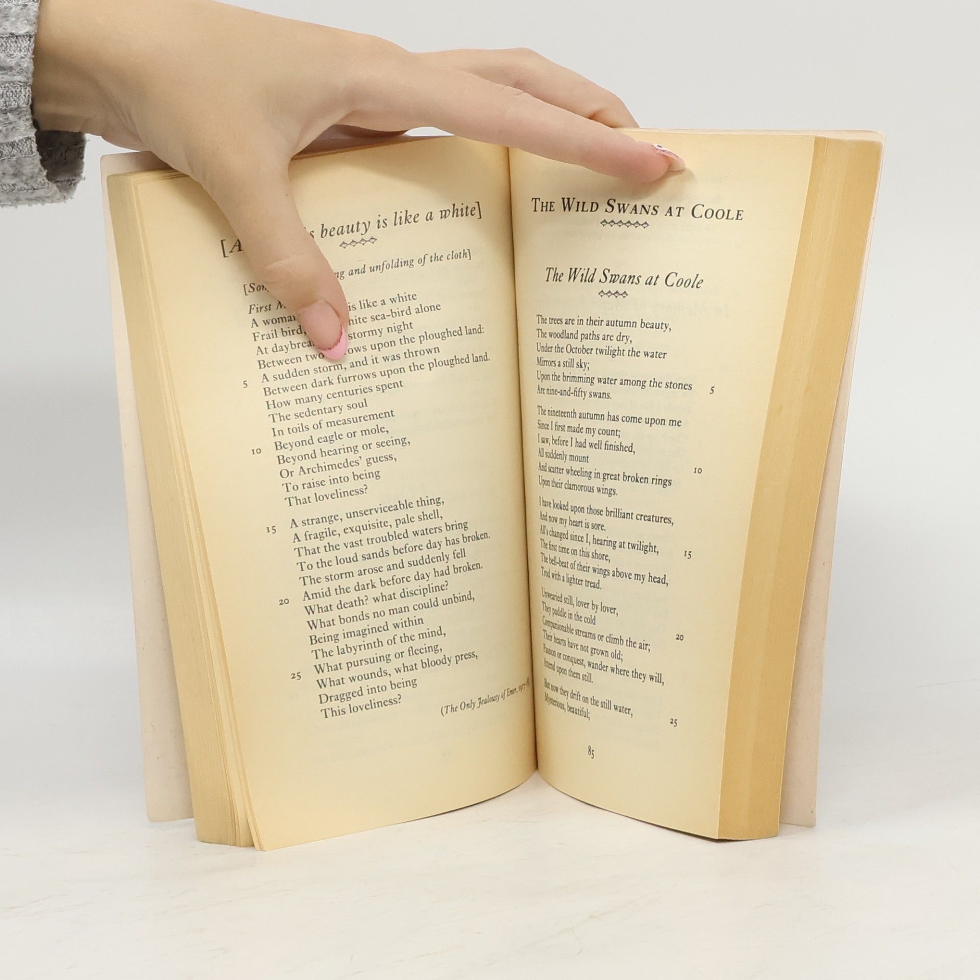 Timothy Webb Selected poetry