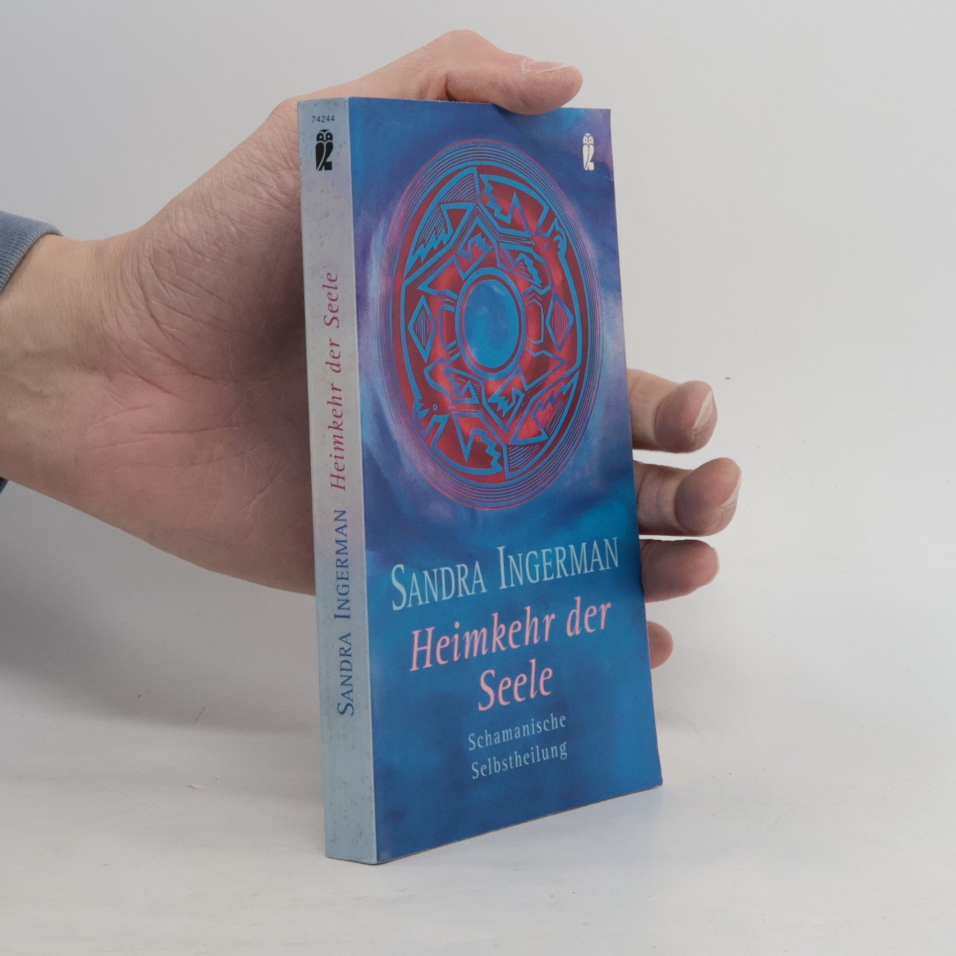 Die Heimkehr der verlorenen Seele